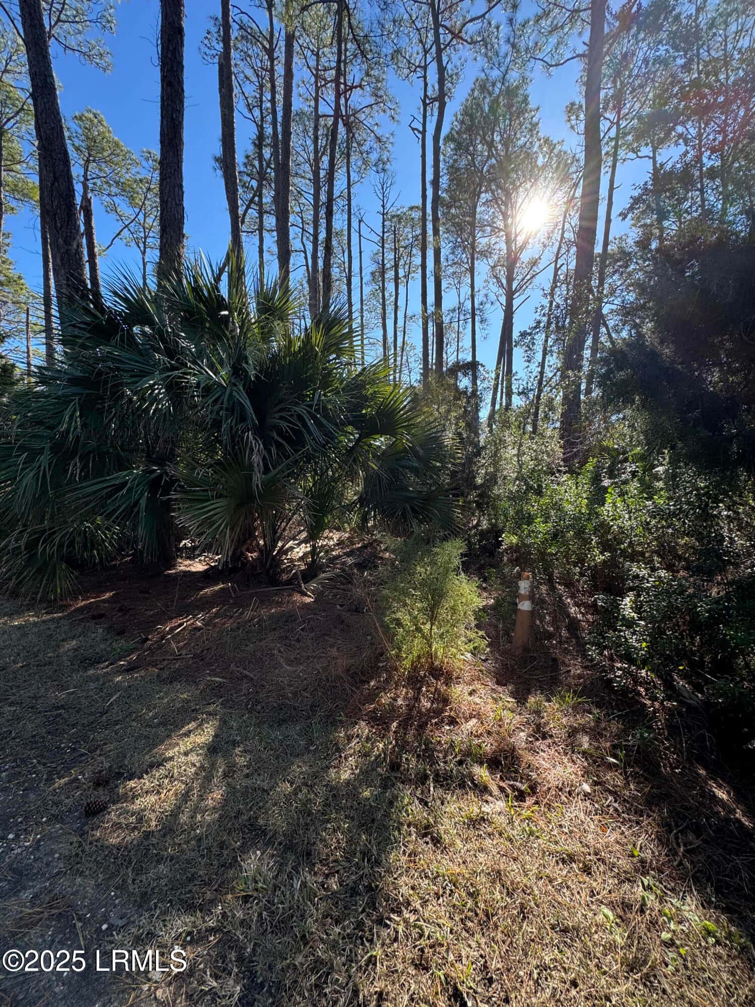 34 Lakeview Lane, Harbor Island, SC 29920 — photo 15 of 44