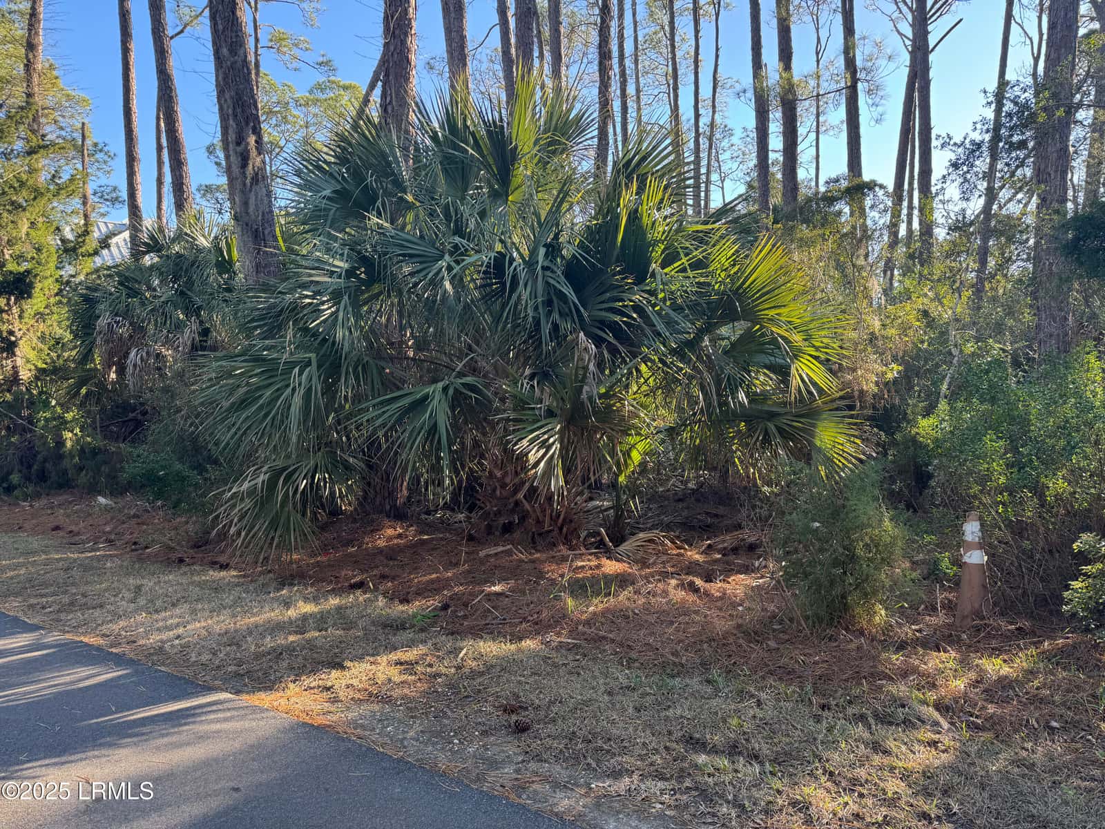 34 Lakeview Lane, Harbor Island, SC 29920 — photo 4 of 44