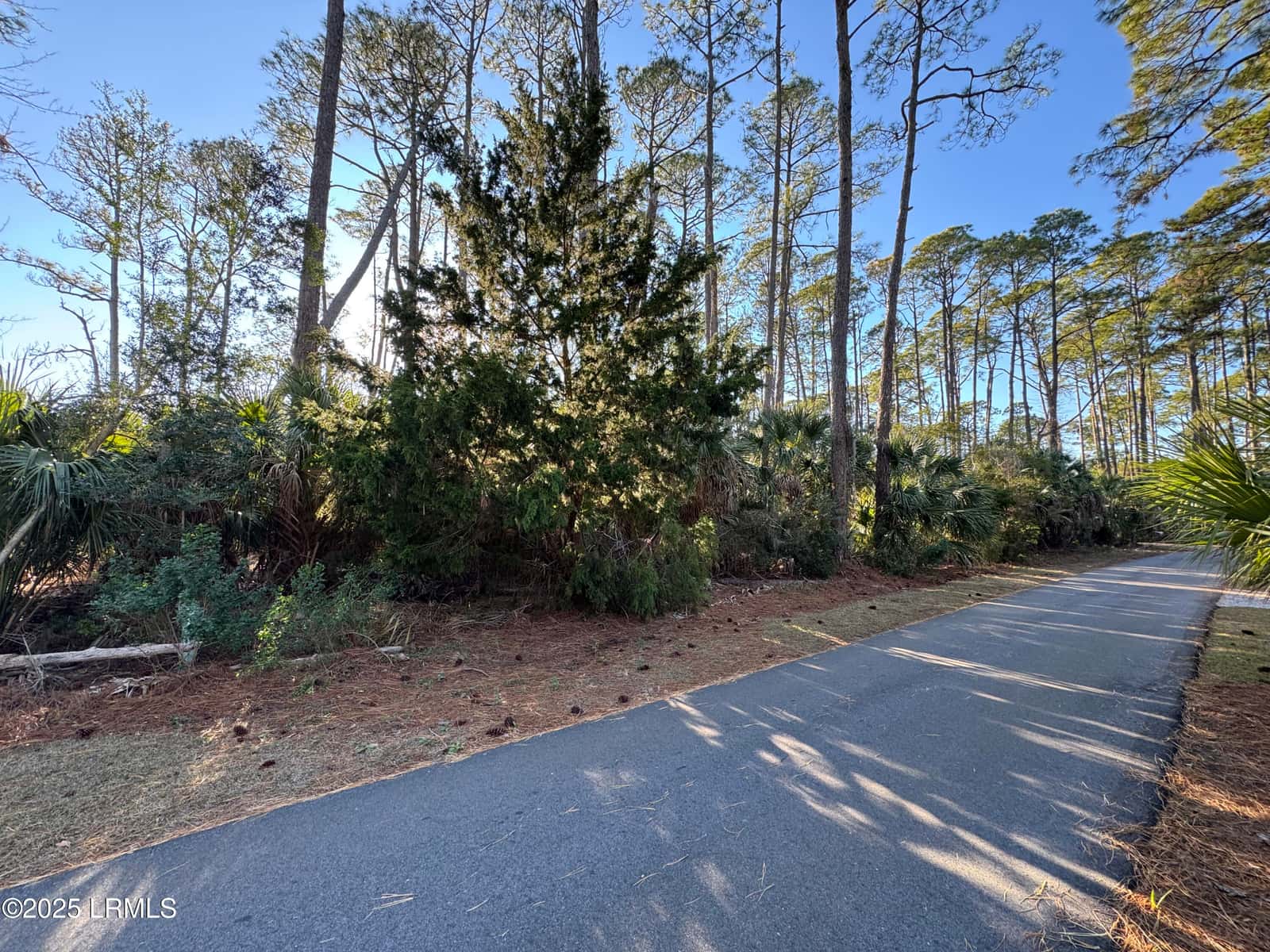 34 Lakeview Lane, Harbor Island, SC 29920 — photo 5 of 44