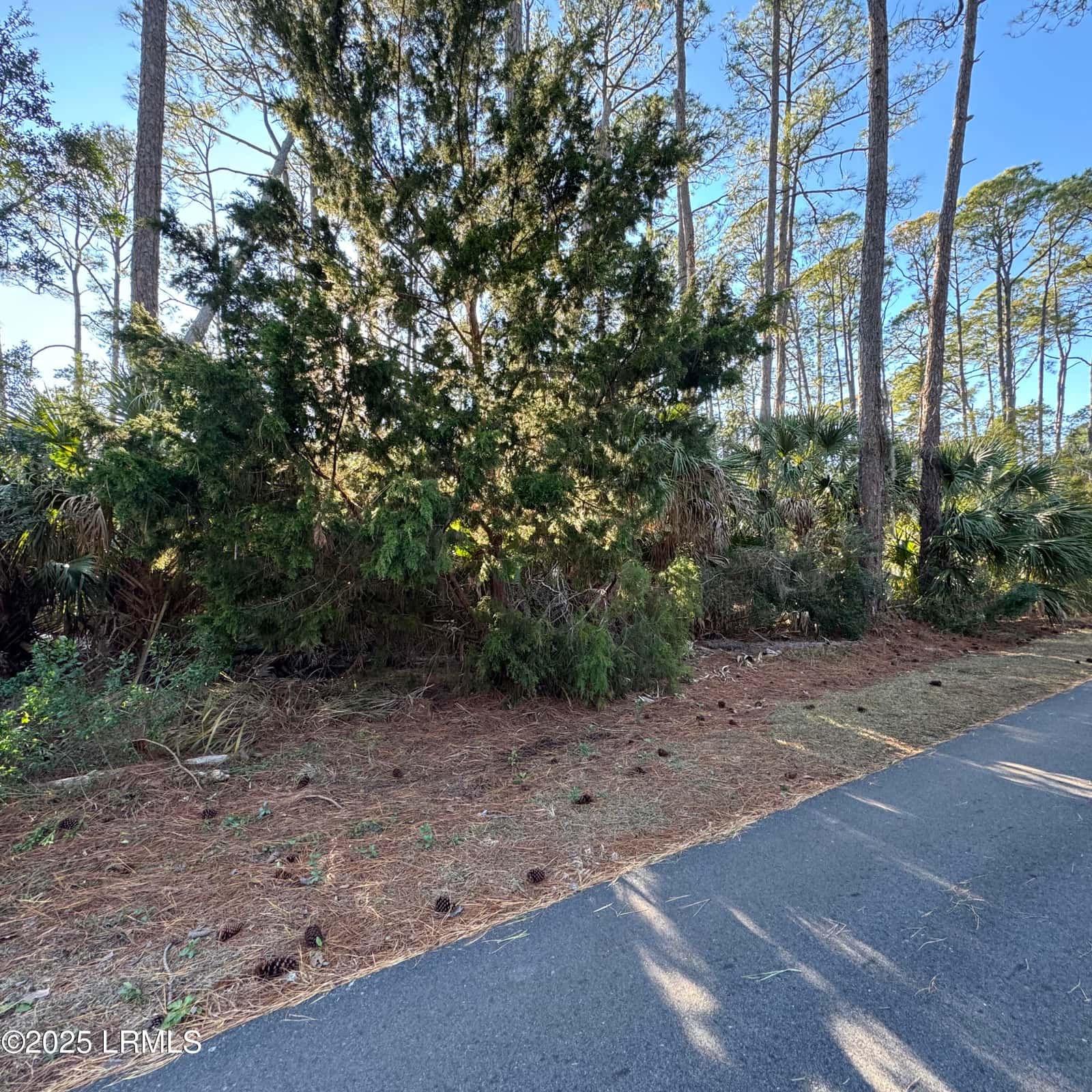 34 Lakeview Lane, Harbor Island, SC 29920 — photo 7 of 44