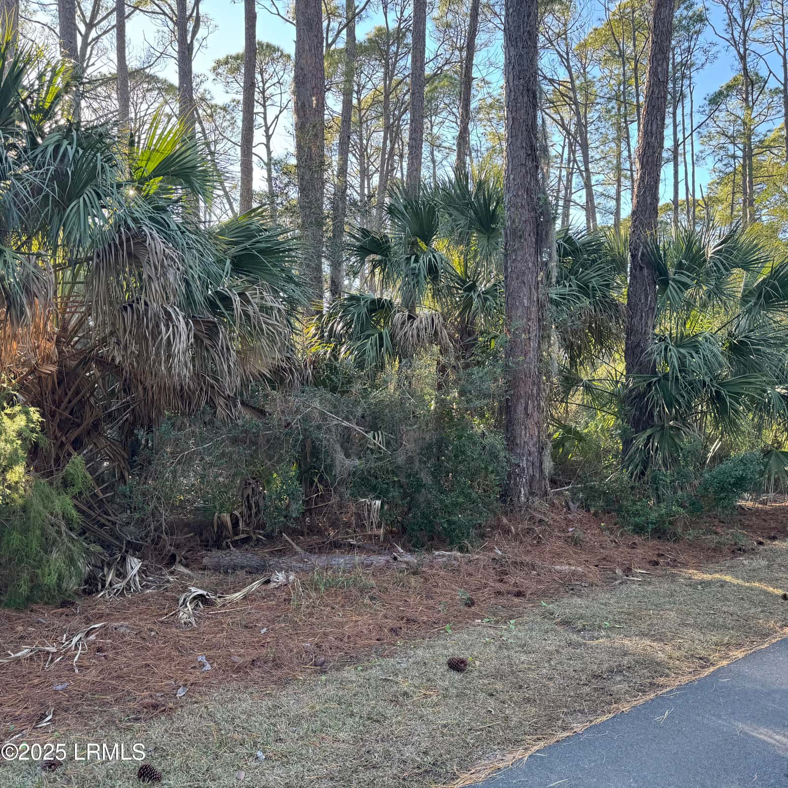34 Lakeview Lane, Harbor Island, SC 29920 — photo 8 of 44