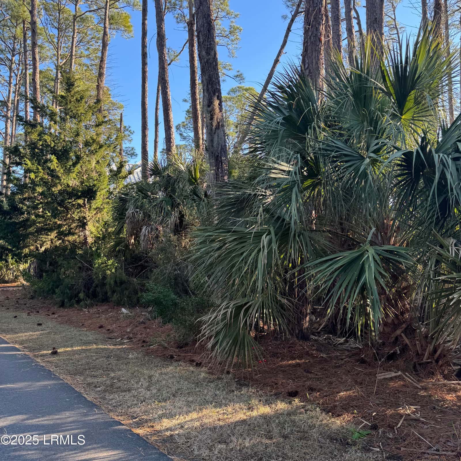 34 Lakeview Lane, Harbor Island, SC 29920 — photo 10 of 44