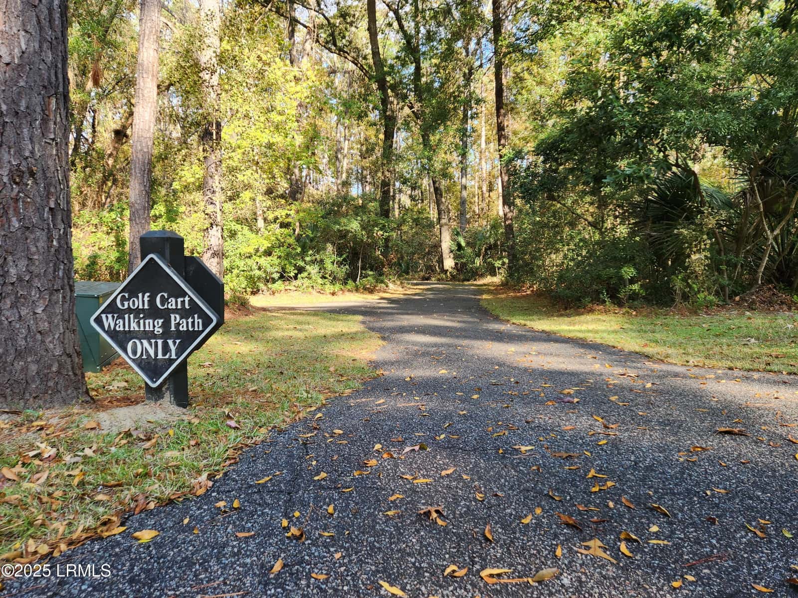 88 Tomotley Barony Drive, Seabrook, SC 29940 — photo 59 of 83