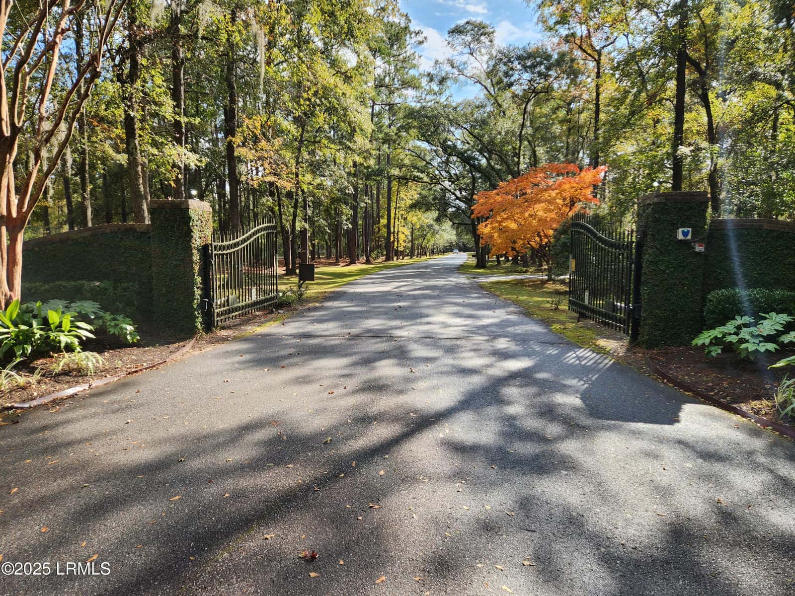 88 Tomotley Barony Drive, Seabrook, SC 29940 — photo 81 of 83