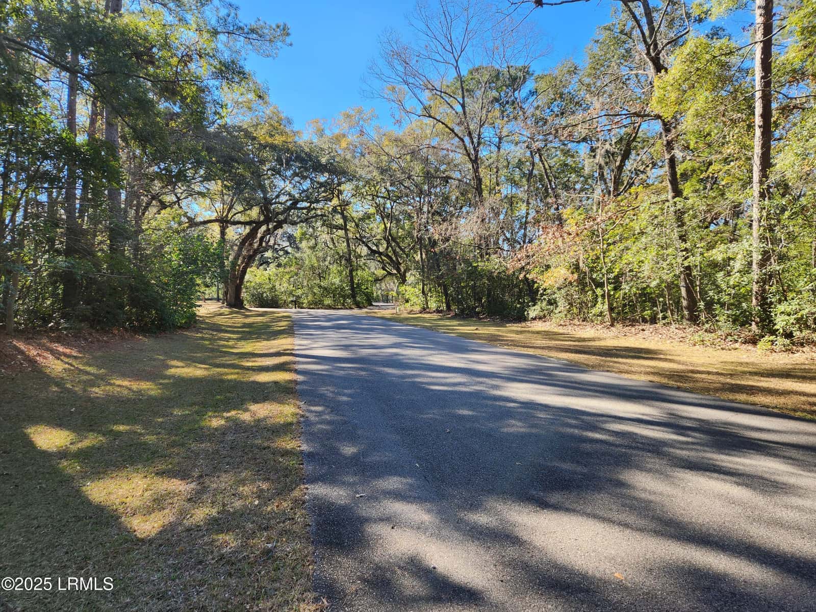 88 Tomotley Barony Drive, Seabrook, SC 29940 — photo 16 of 83