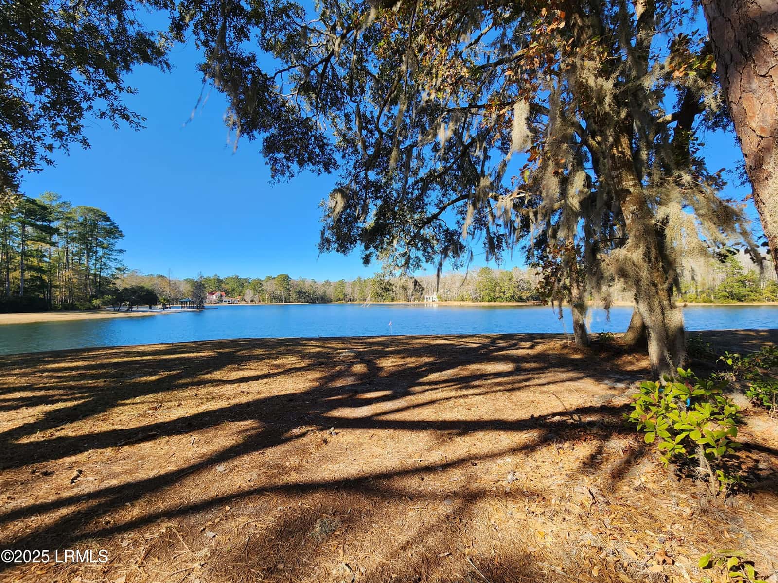 88 Tomotley Barony Drive, Seabrook, SC 29940 — photo 13 of 83