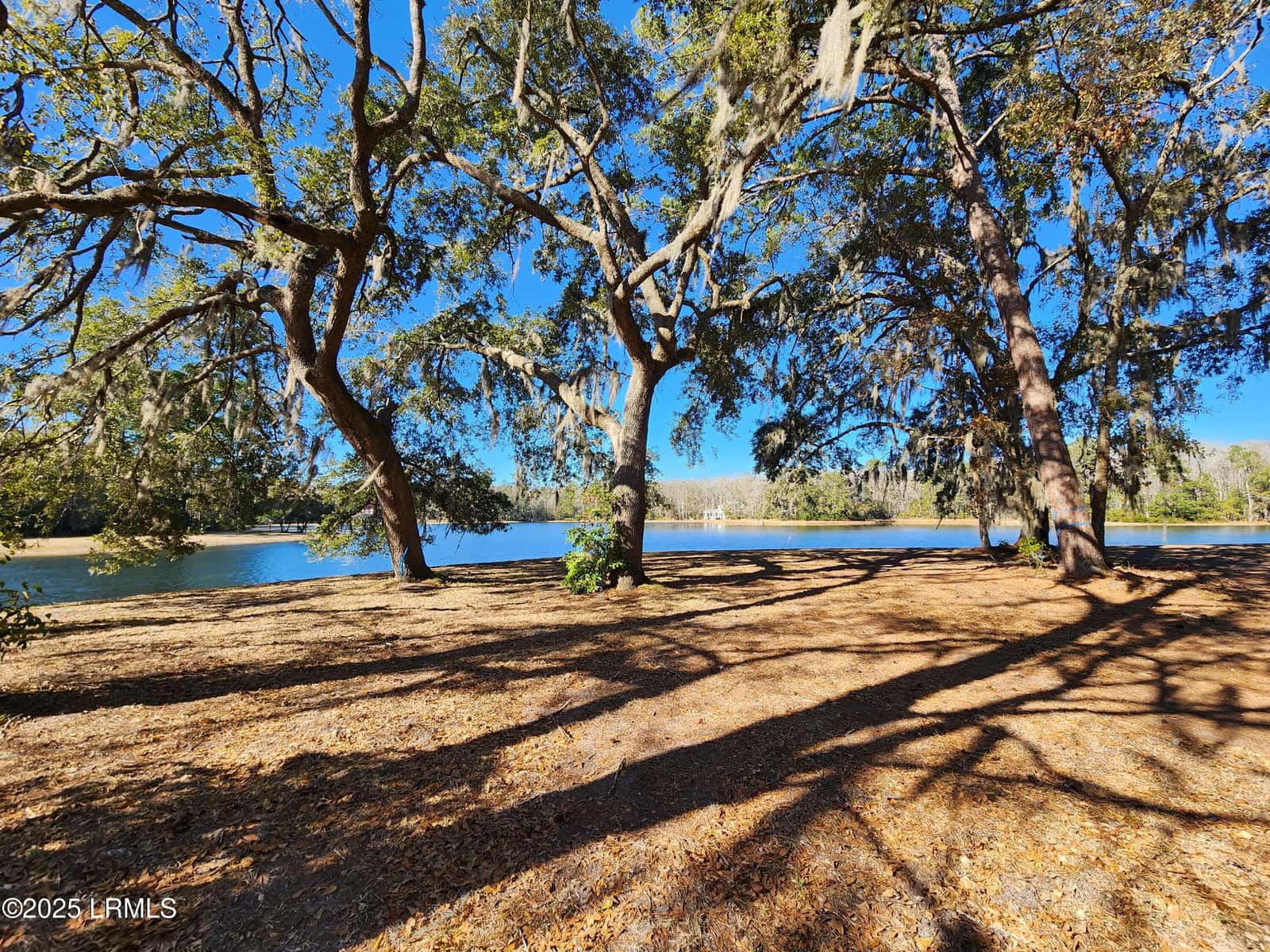 88 Tomotley Barony Drive, Seabrook, SC 29940 — photo 7 of 83