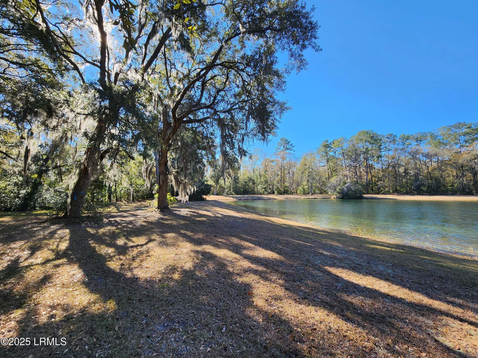 88 Tomotley Barony Drive, Seabrook, SC 29940 — photo 11 of 83