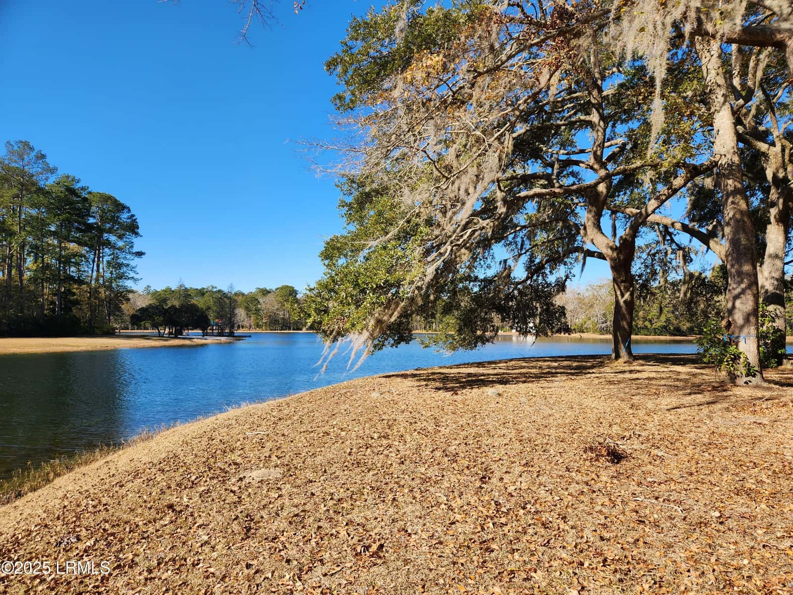 88 Tomotley Barony Drive, Seabrook, SC 29940 — photo 12 of 83