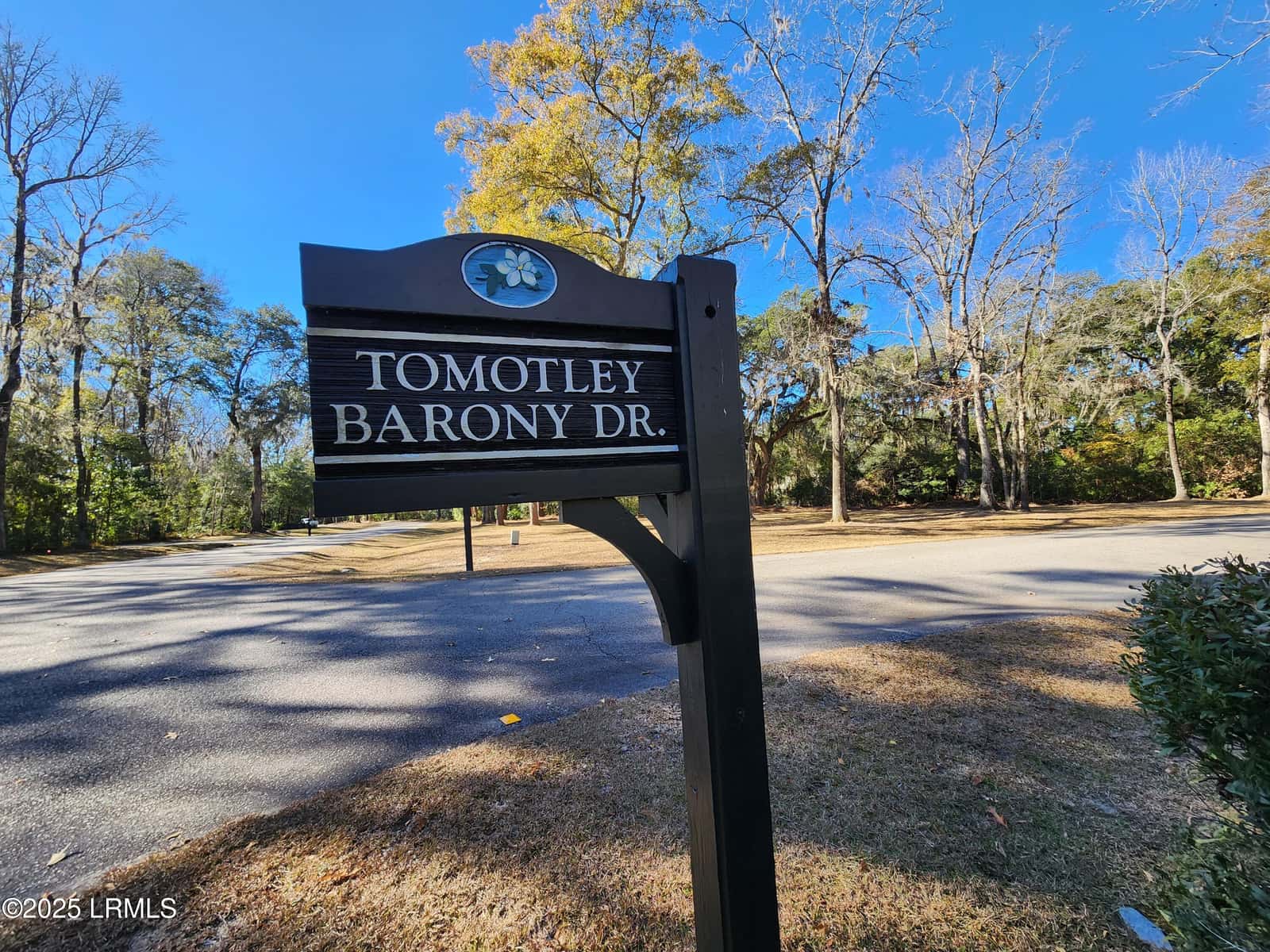 88 Tomotley Barony Drive, Seabrook, SC 29940 — photo 18 of 83