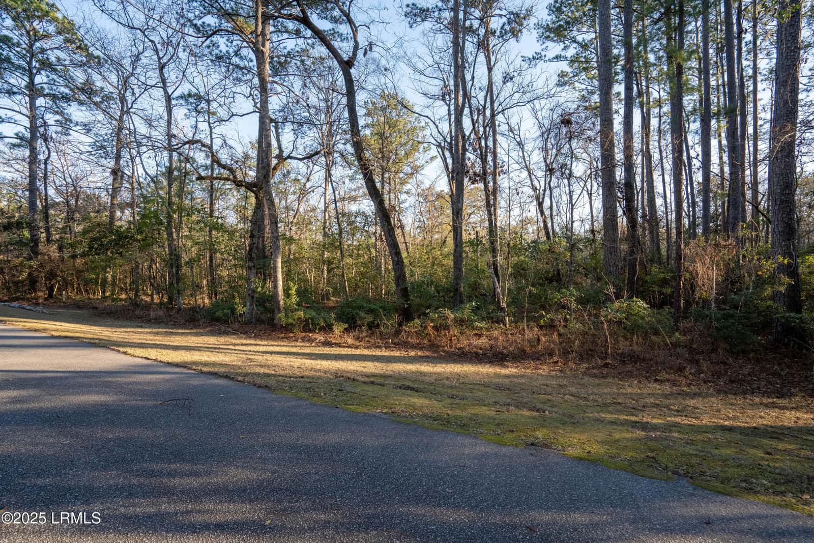 9 Barnaby Bluff, Seabrook, SC 29940 — photo 8 of 39