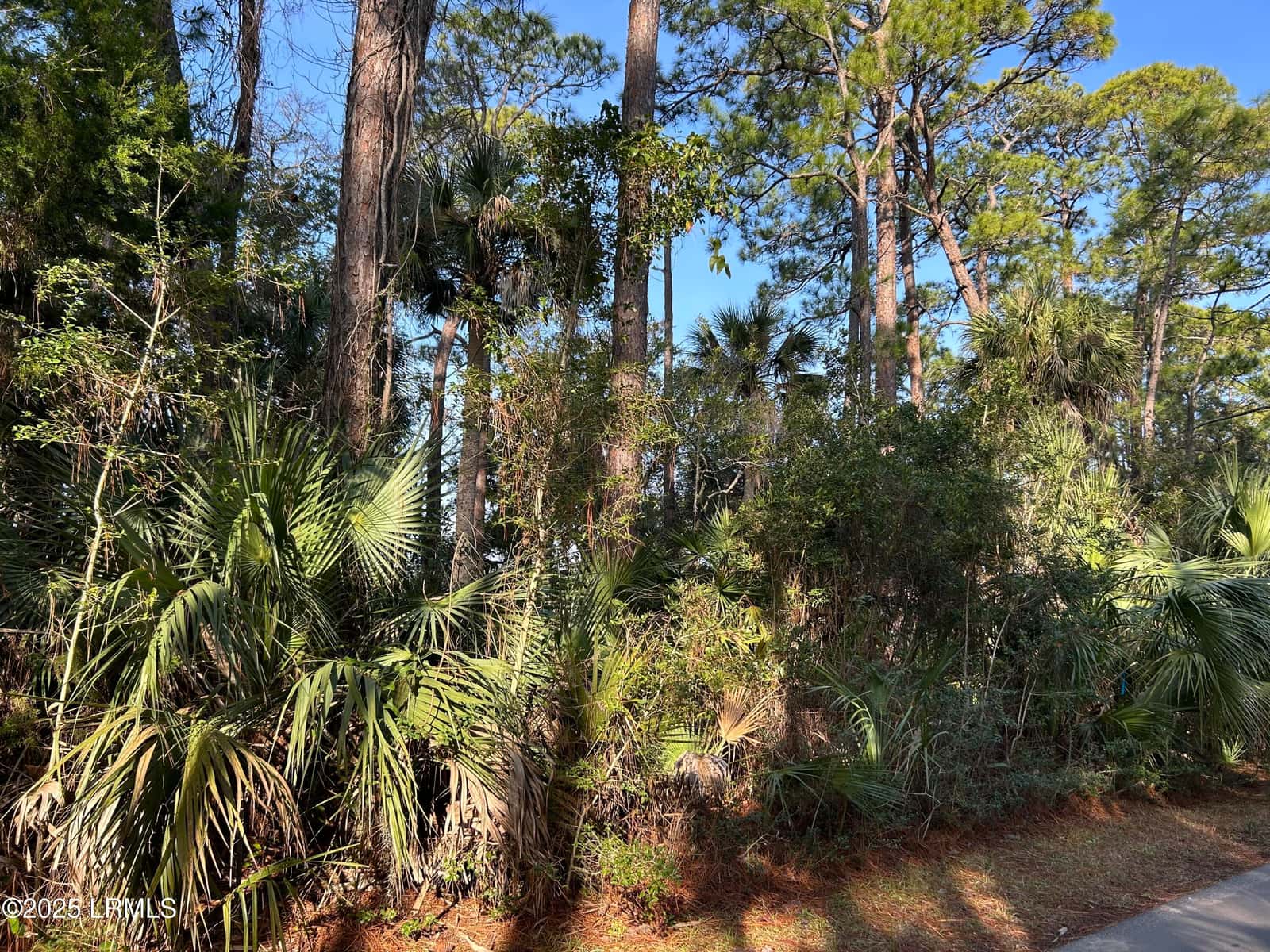 16 Lakeview Lane, Harbor Island, SC 29920 — photo 6 of 18