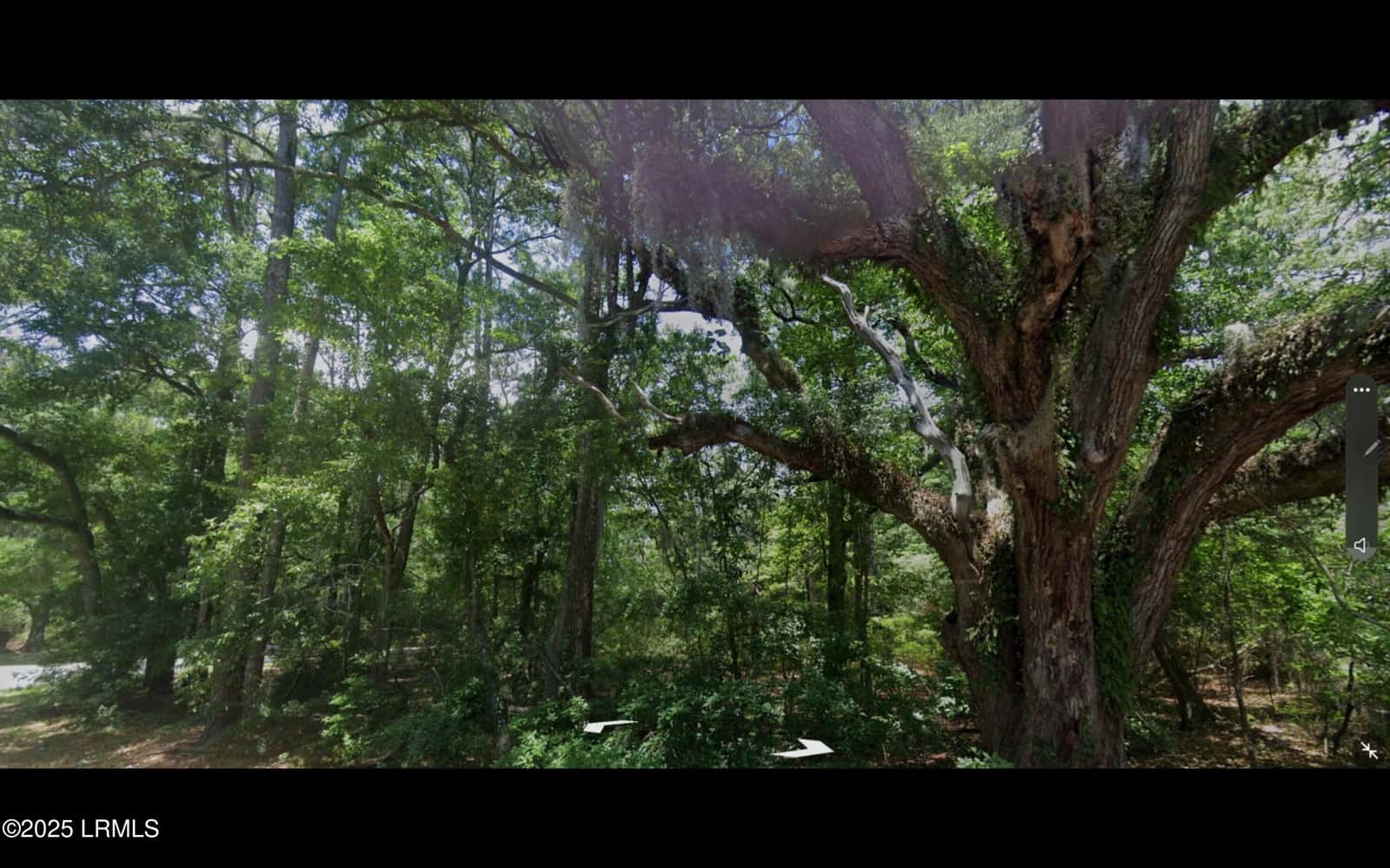 8 Marsh Hawk Drive, Beaufort, SC 29907 — photo 6 of 11