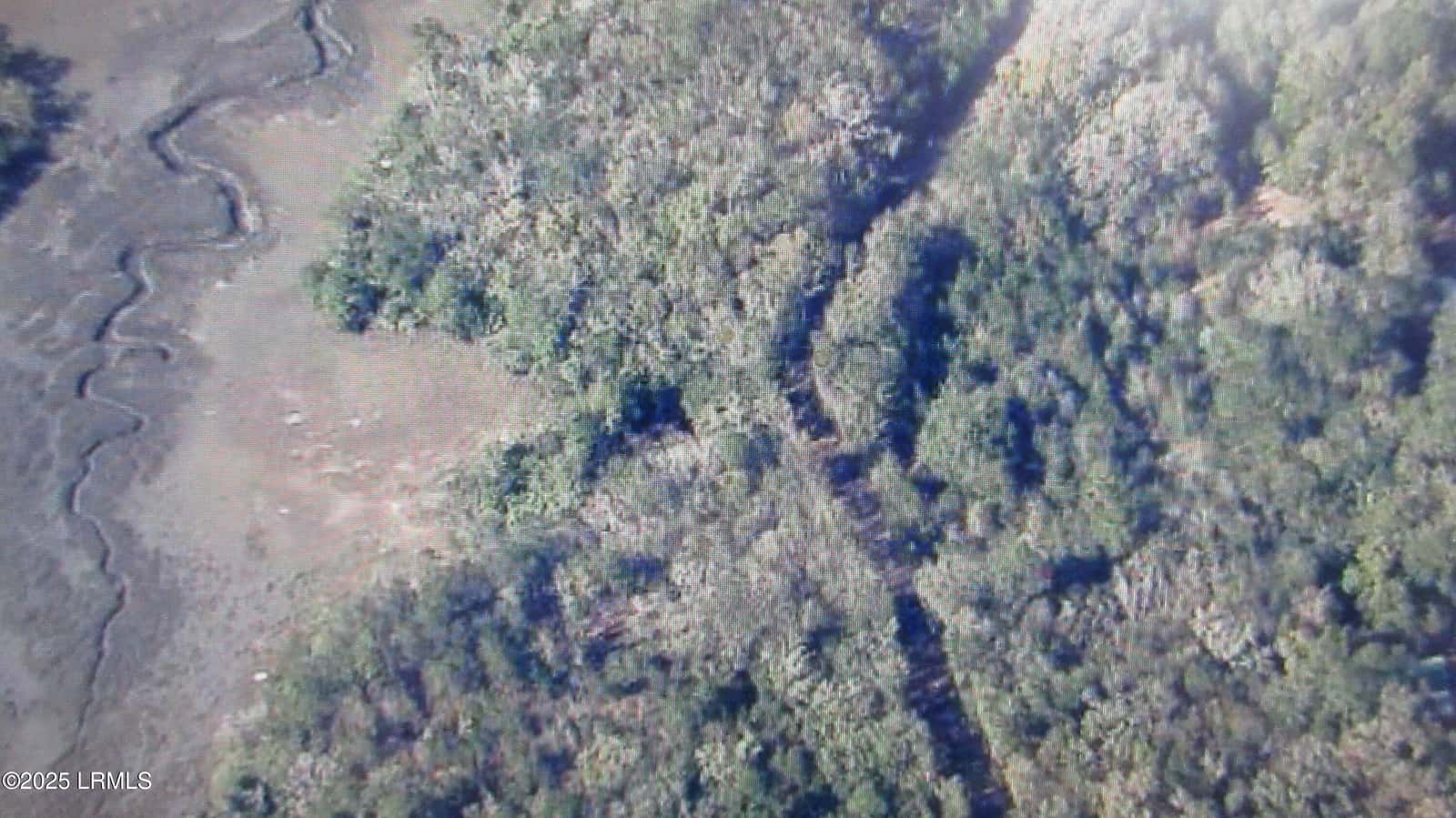 731 Eddings Point Road, St. Helena Island, SC 29920 — photo 11 of 21