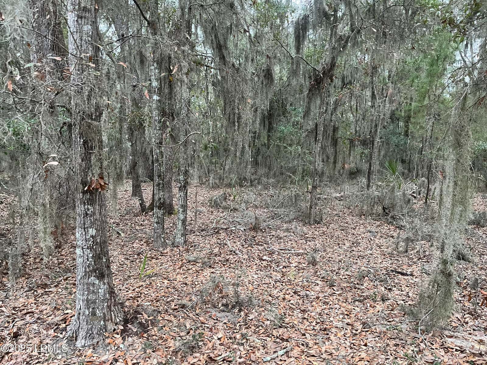81 Grand Oaks Way, Beaufort, SC 29907 — photo 1 of 2