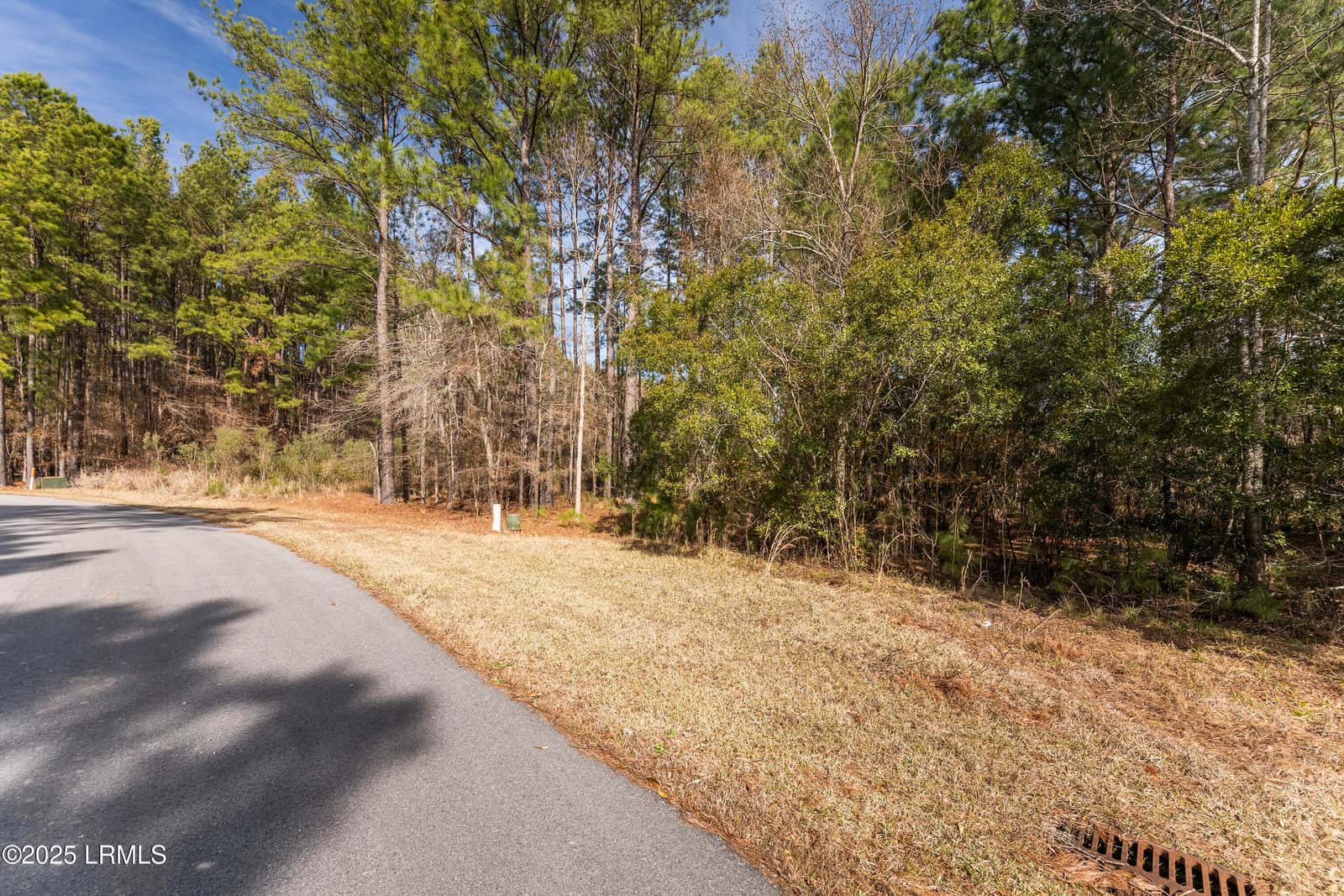 276 Twickenham Loop, Yemassee, SC 29945 — photo 4 of 8