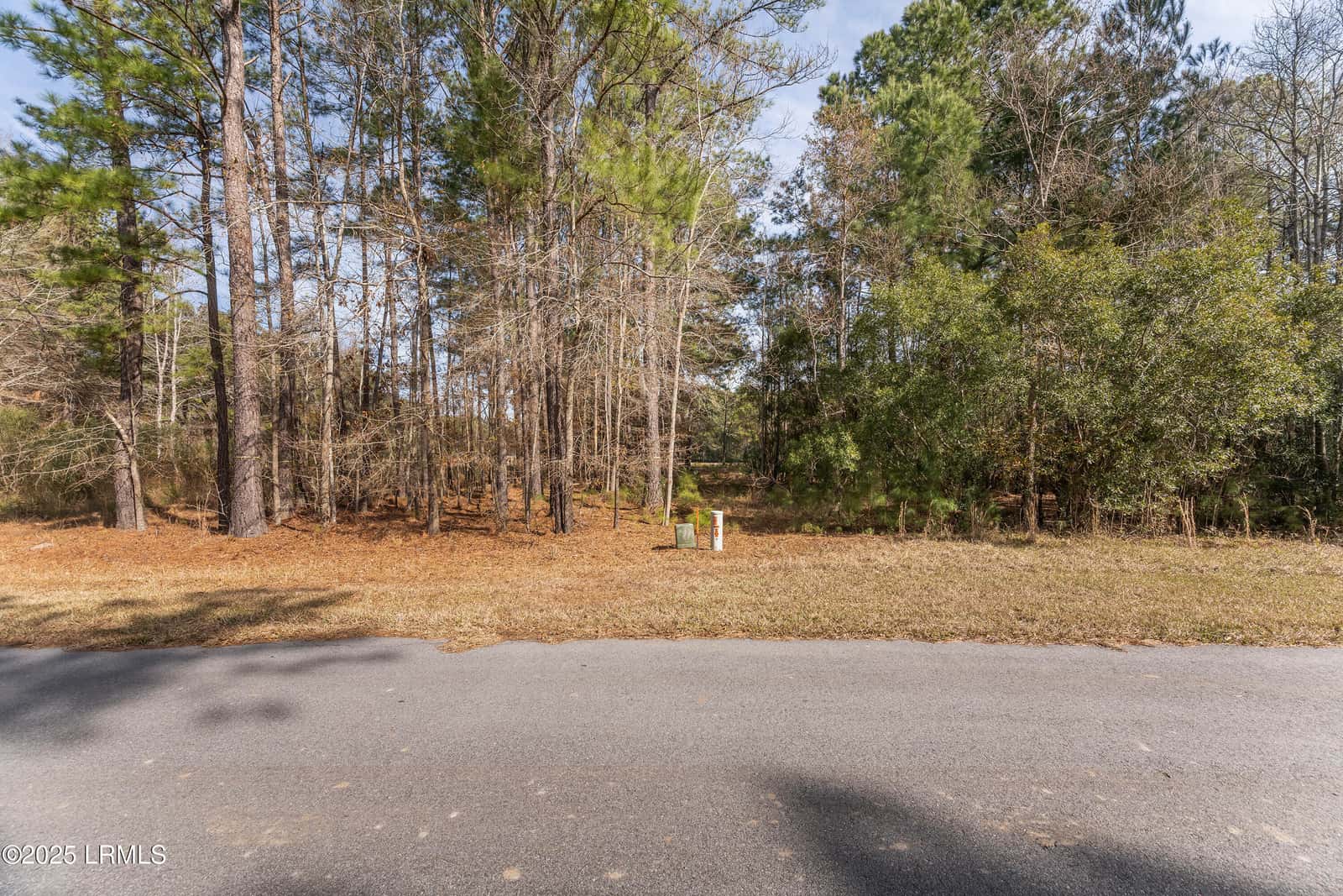 276 Twickenham Loop, Yemassee, SC 29945 — photo 5 of 8
