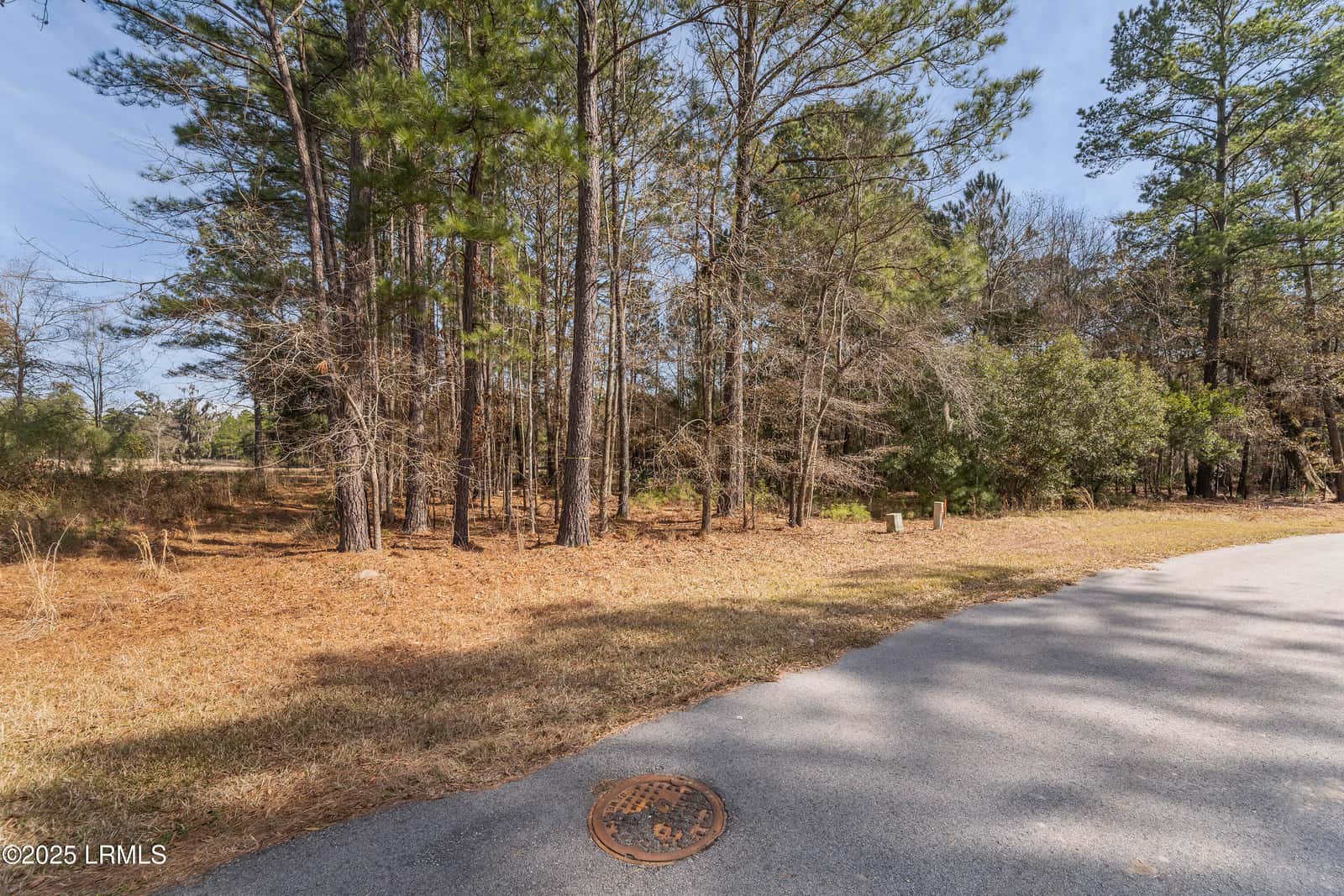 276 Twickenham Loop, Yemassee, SC 29945 — photo 6 of 8