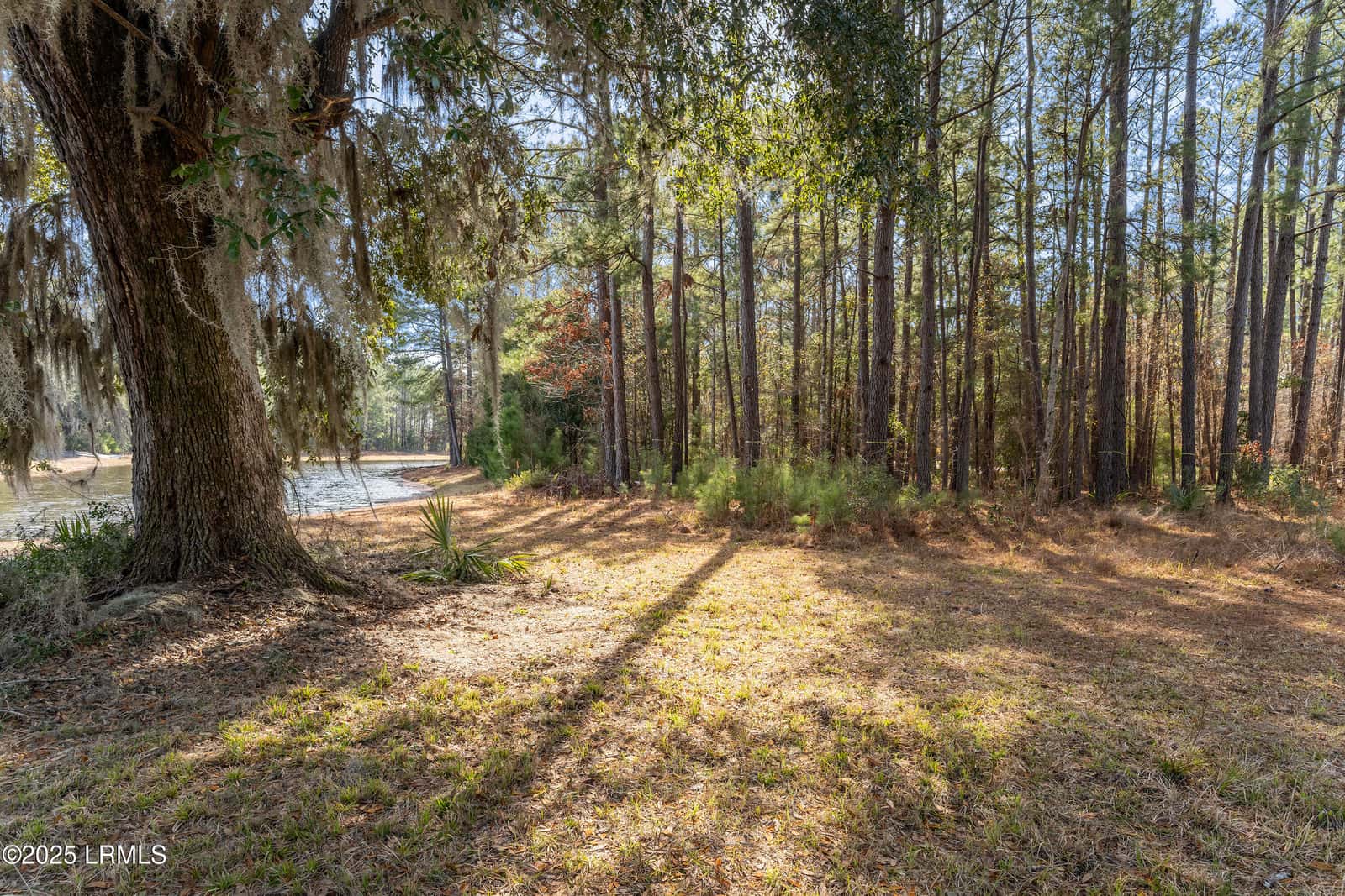 276 Twickenham Loop, Yemassee, SC 29945 — photo 7 of 8
