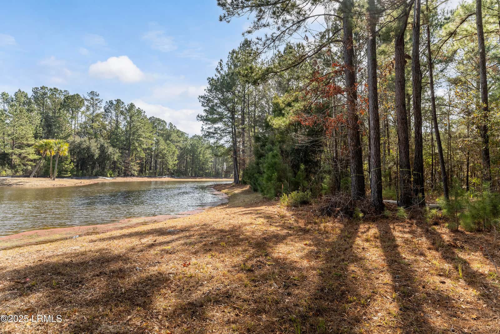 276 Twickenham Loop, Yemassee, SC 29945 — photo 2 of 8