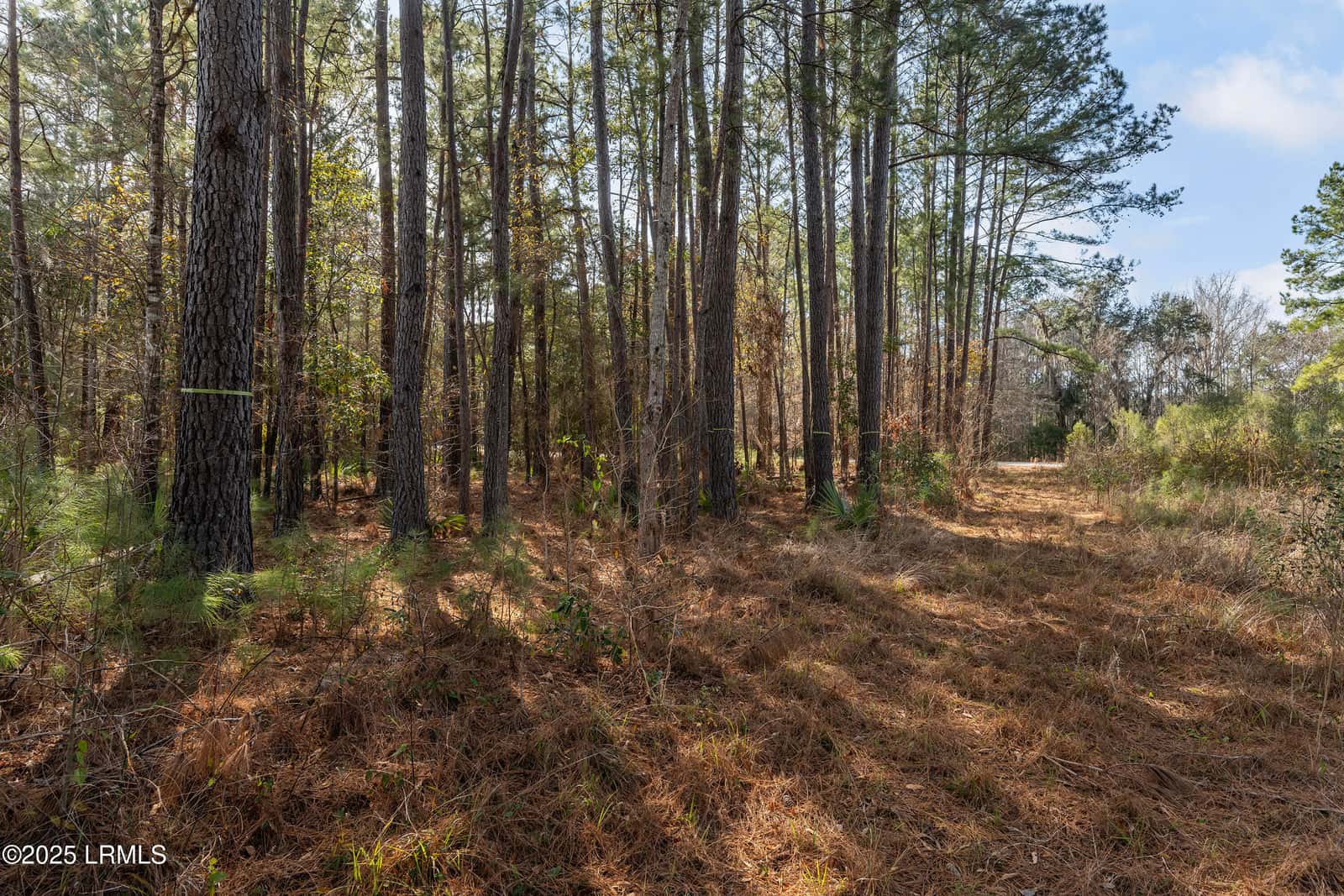 276 Twickenham Loop, Yemassee, SC 29945 — photo 8 of 8