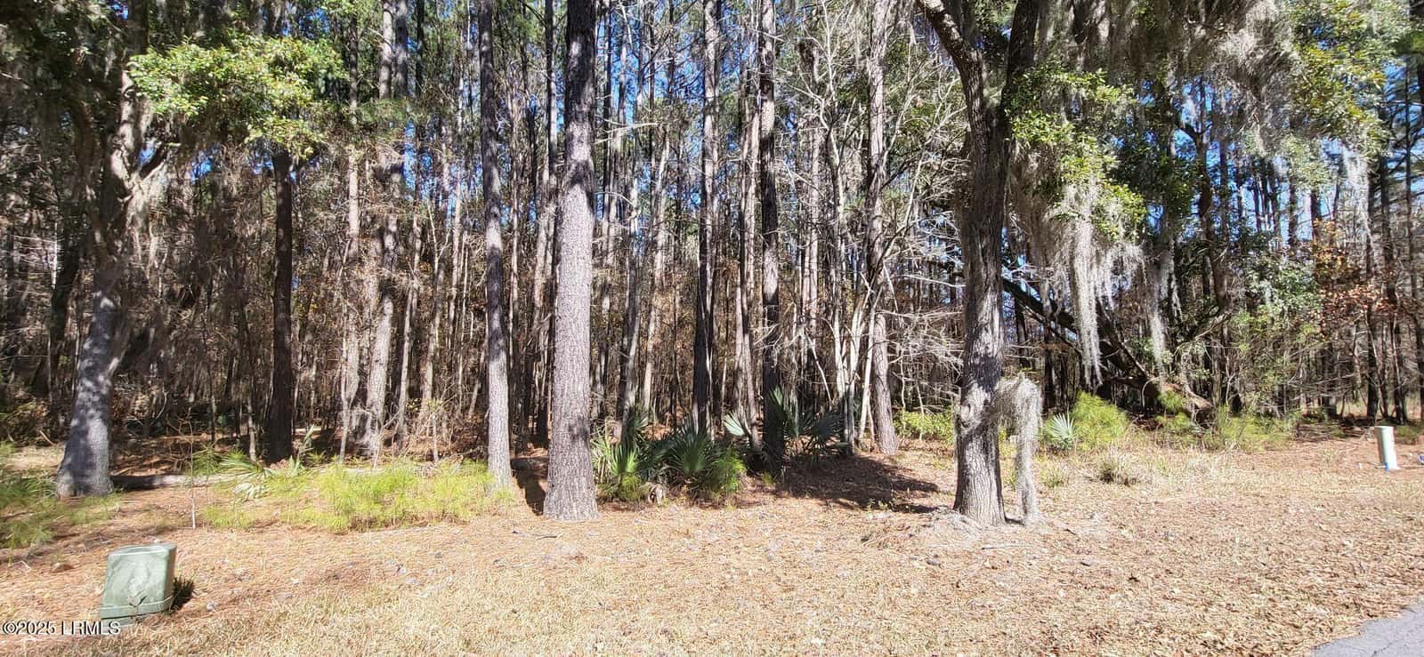 340 Twickenham Loop, Yemassee, SC 29945 — photo 10 of 10