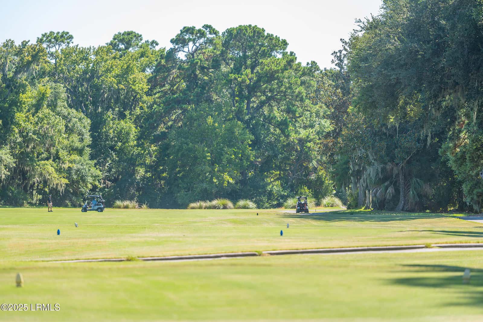 17 Bridgeport Lane, Hilton Head Island, SC 29928 — photo 56 of 63