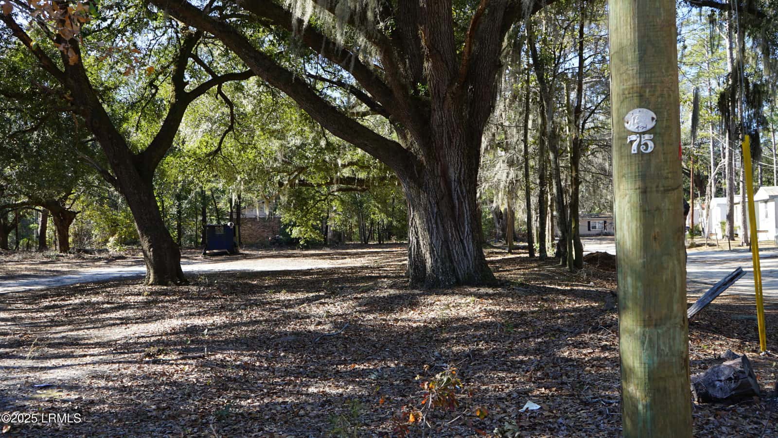 109 Crosby Street, Walterboro, SC 29488 — photo 10 of 10