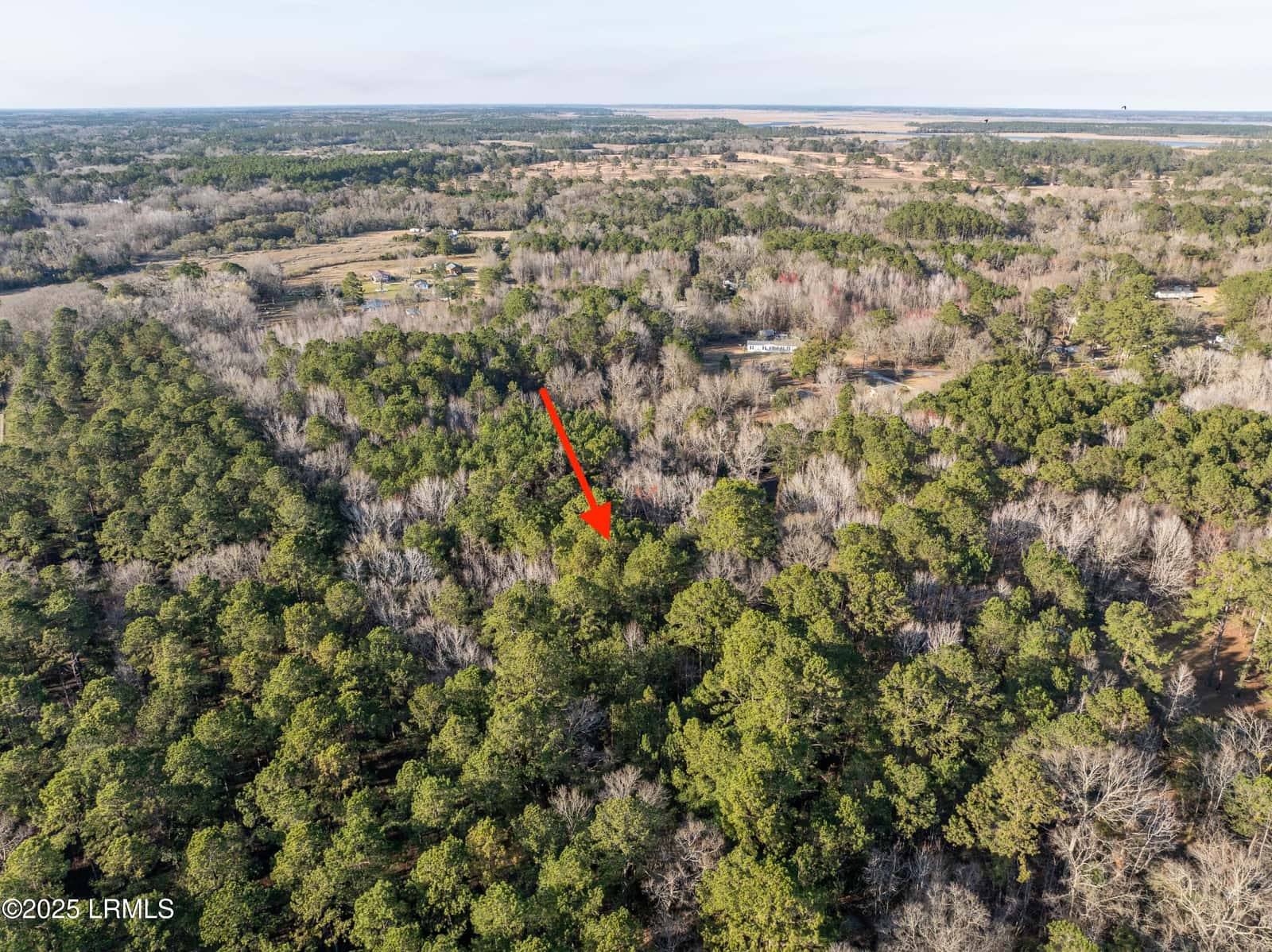 26 Swamprose Lane, Seabrook, SC 29940 — photo 3 of 13
