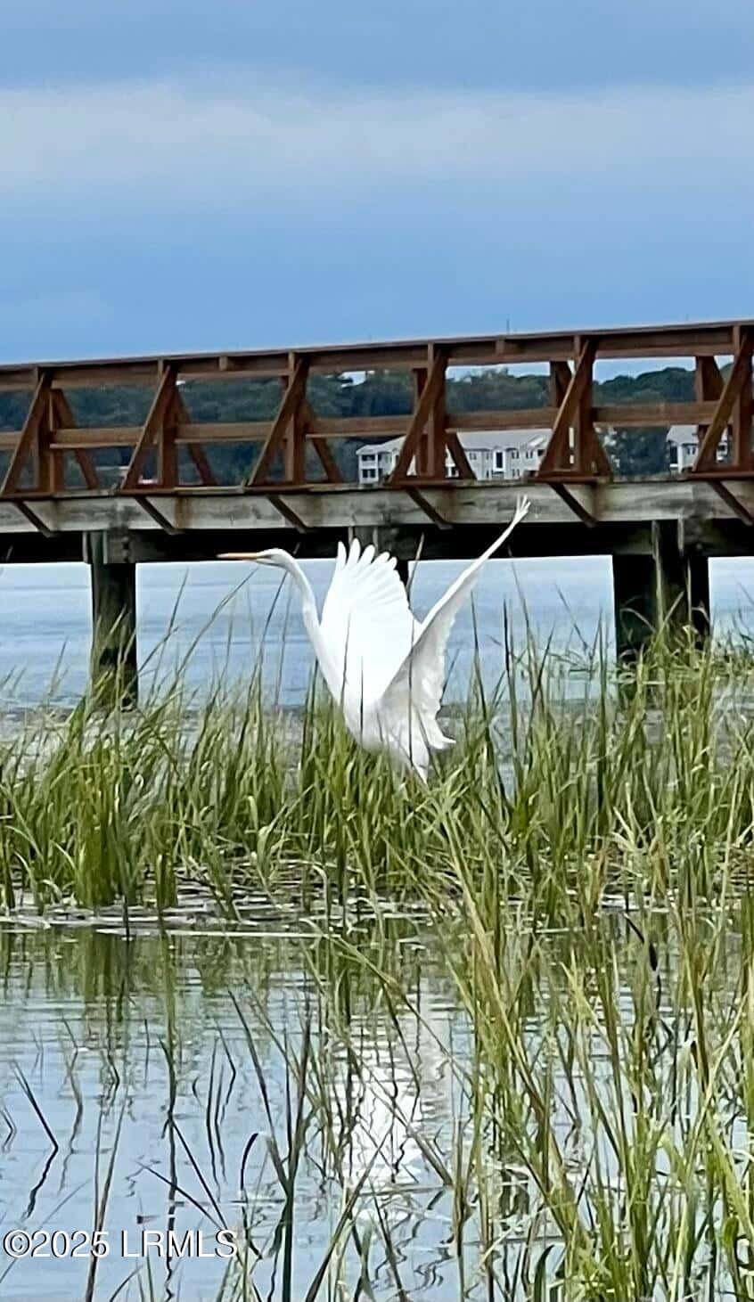 324 De La Gaye Point, Beaufort, SC 29902 — photo 14 of 17