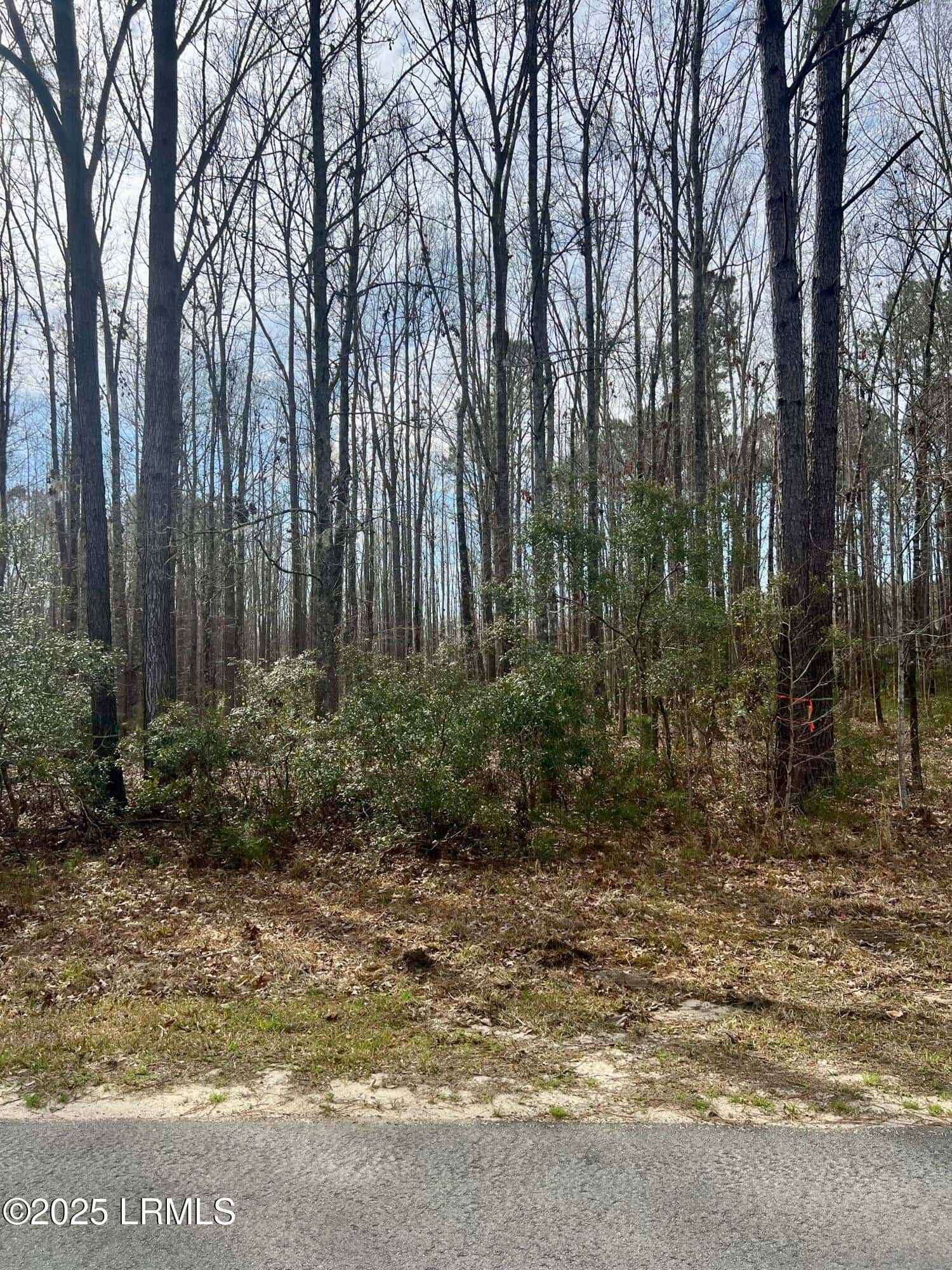 112 Founders Oak Way, Yemassee, SC 29945 — photo 4 of 13