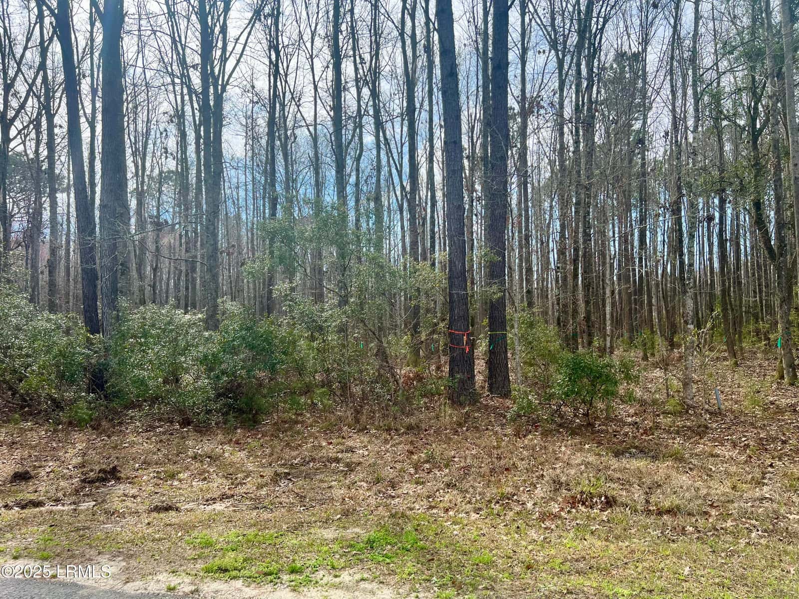 112 Founders Oak Way, Yemassee, SC 29945 — photo 5 of 13