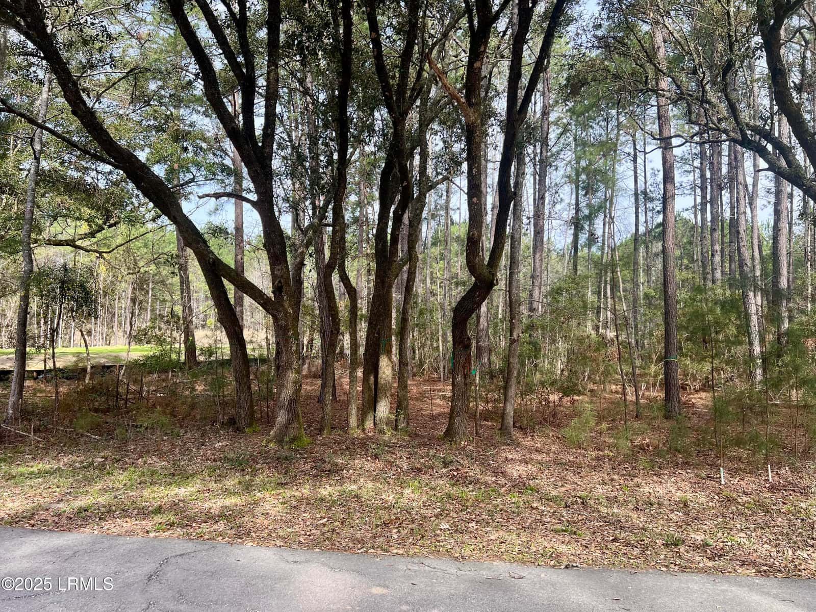 237 Founders Oak Way, Yemassee, SC 29945 — photo 3 of 13