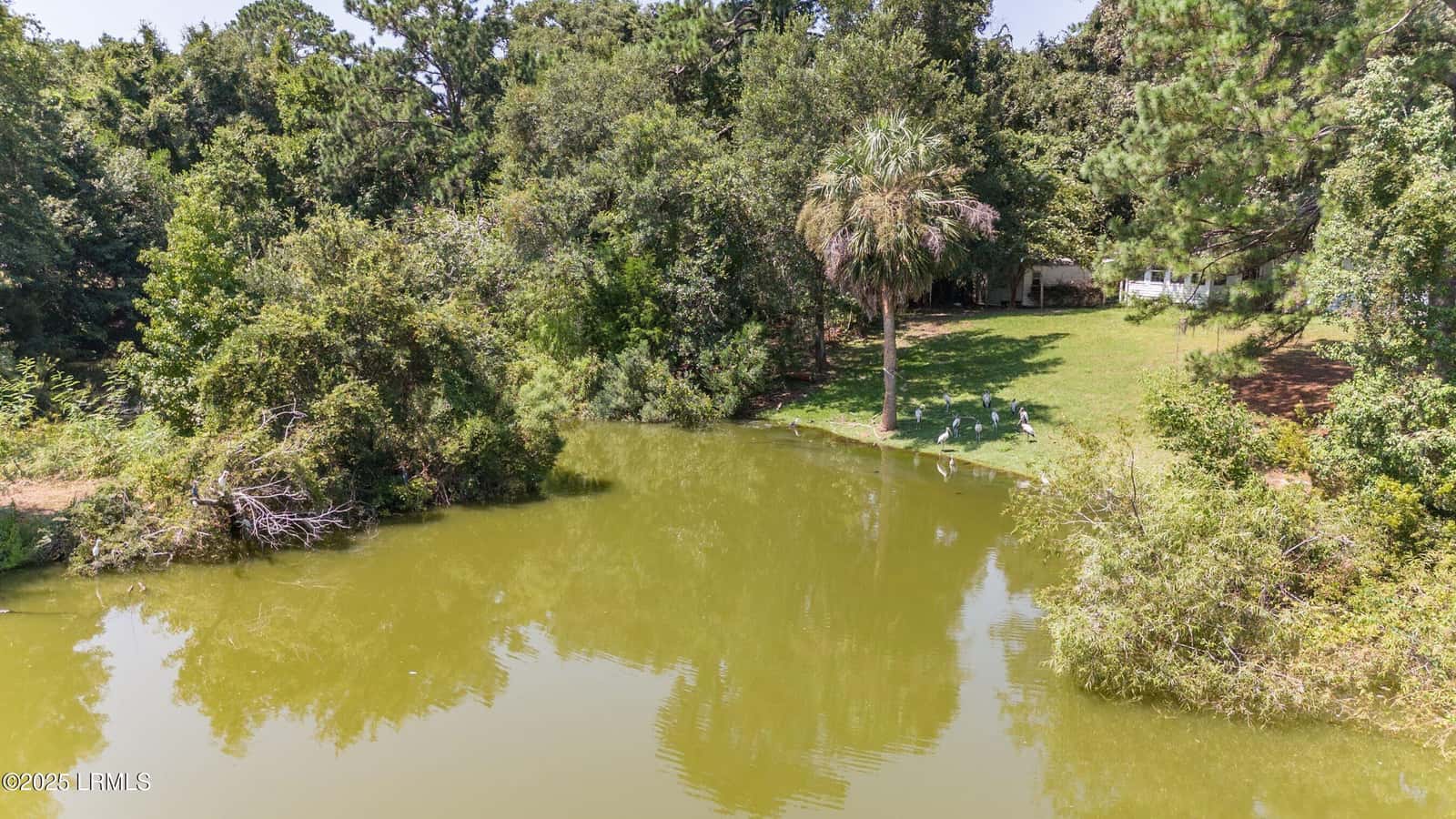 31 Shorts Landing Road, Beaufort, SC 29907 — photo 13 of 22