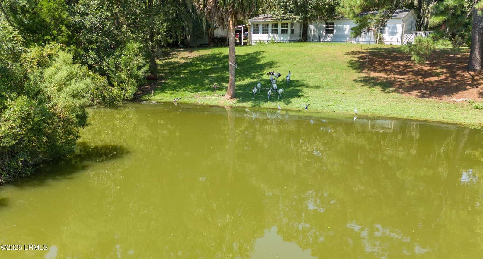 31 Shorts Landing Road, Beaufort, SC 29907 — photo 14 of 22