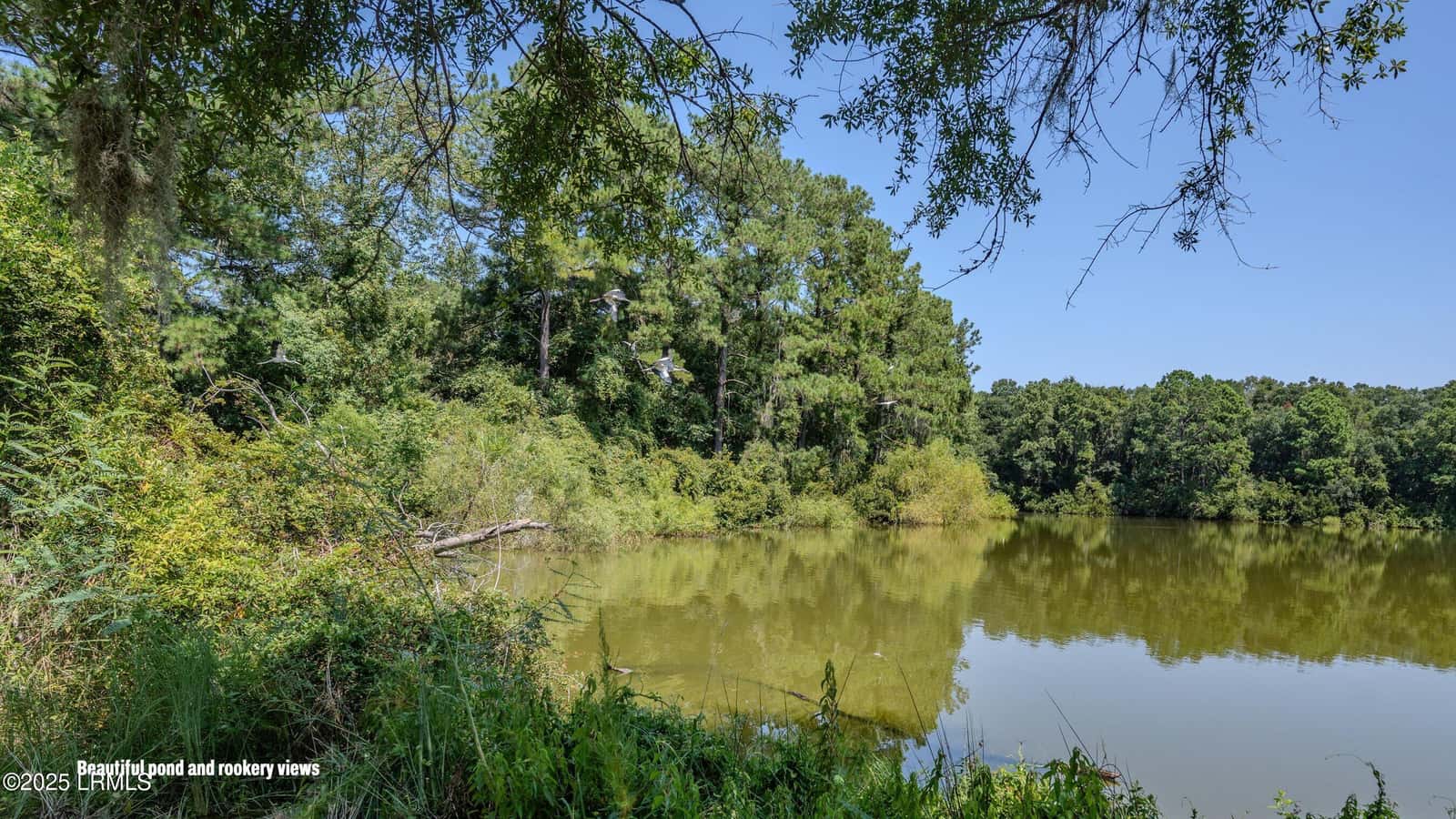 31 Shorts Landing Road, Beaufort, SC 29907 — photo 18 of 22
