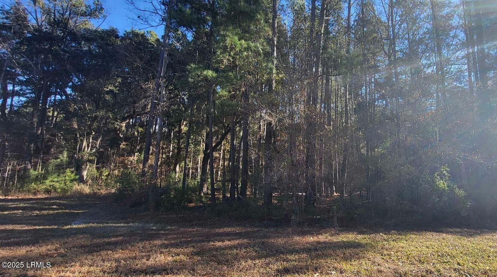 378 Chicora Lane, Yemassee, SC 29945 — photo 7 of 9