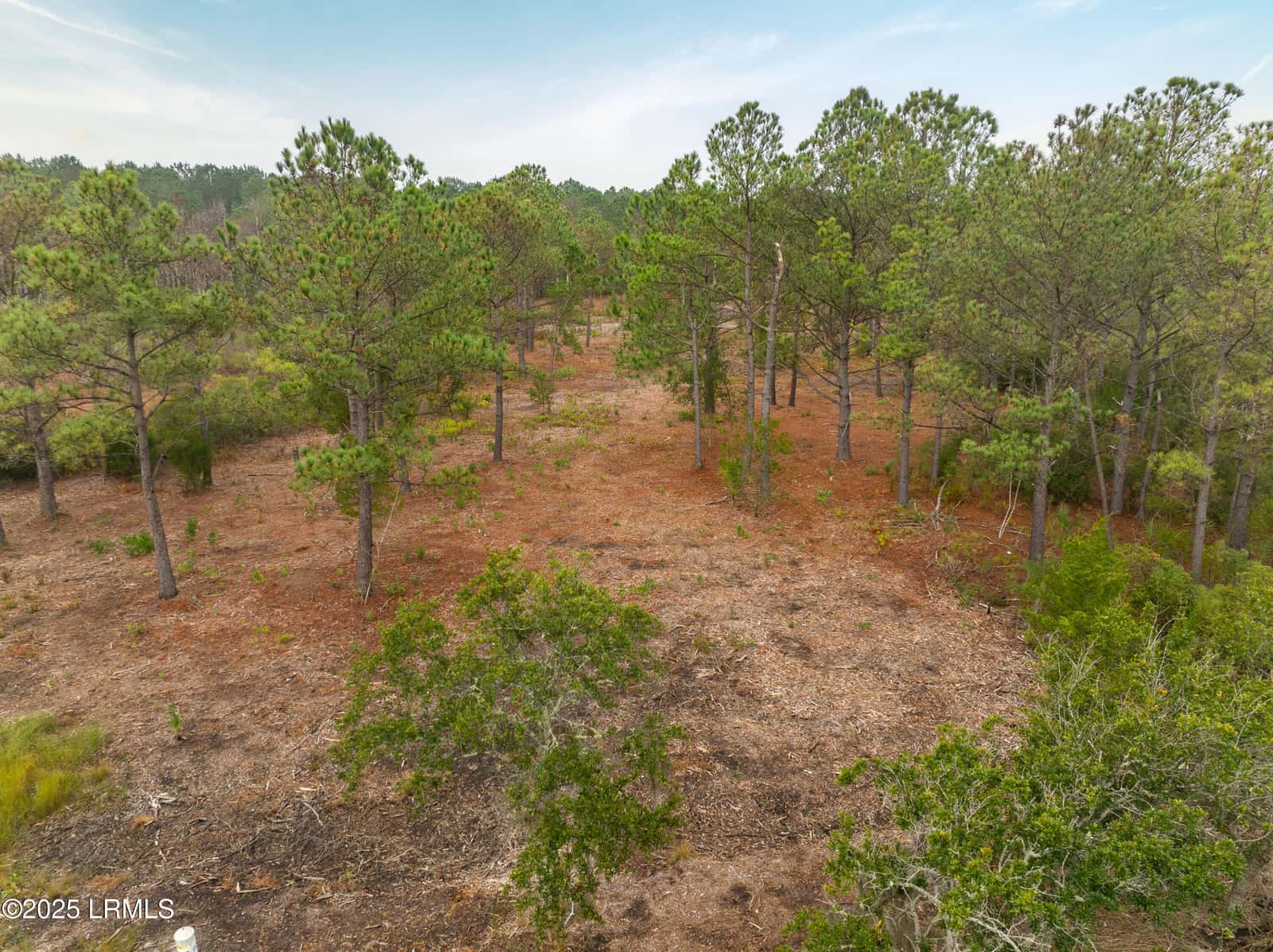 Tbd J. Stephens Path, St. Helena Island, SC 29920 — photo 9 of 22
