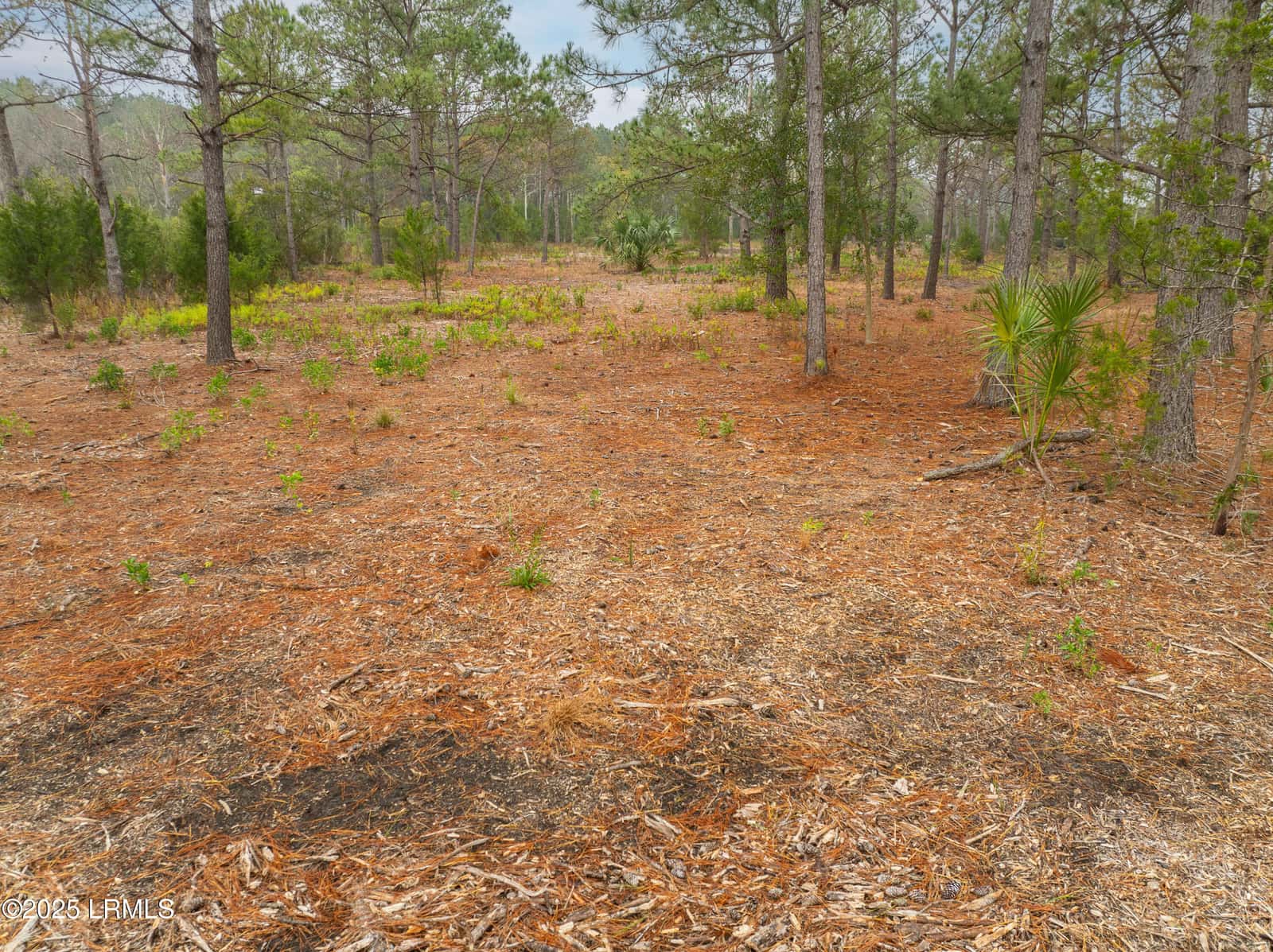 Tbd J. Stephens Path, St. Helena Island, SC 29920 — photo 2 of 22