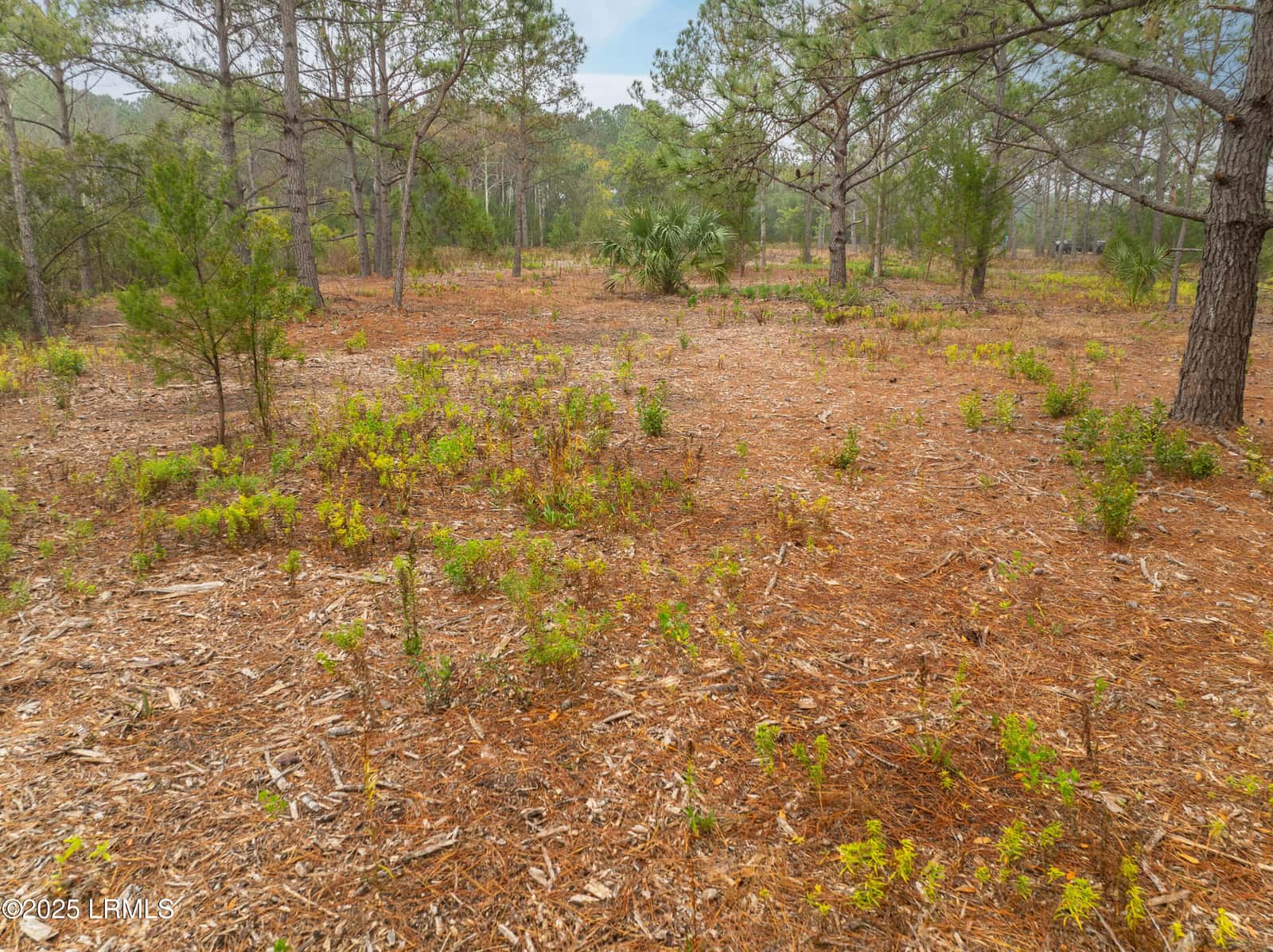Tbd J. Stephens Path, St. Helena Island, SC 29920 — photo 13 of 22
