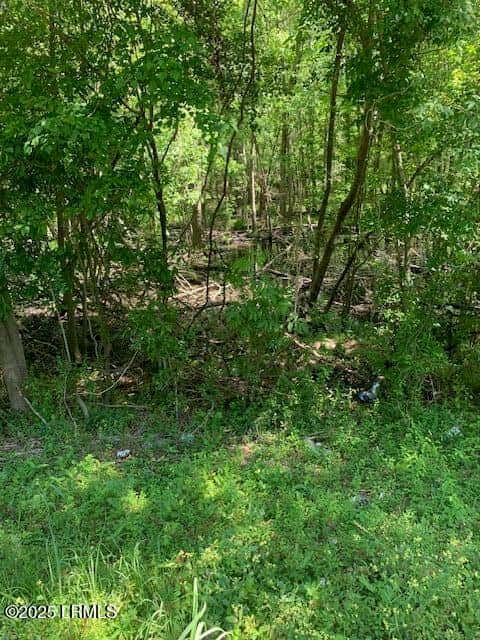 625 Elm Street W, Hampton, SC 29924 — photo 7 of 9
