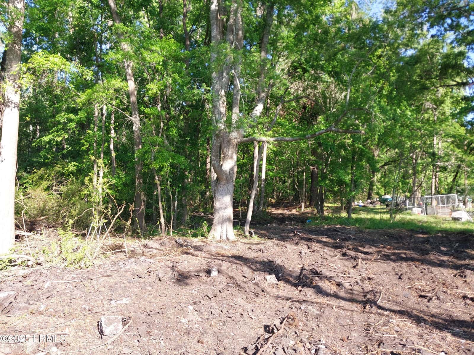 Tbd Charleston Highway, Sheldon, SC 29941 — photo 7 of 12