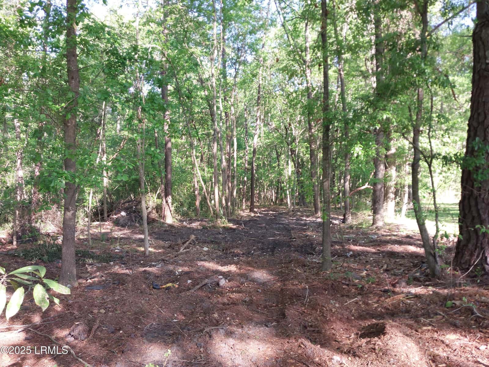 Tbd Charleston Highway, Sheldon, SC 29941 — photo 10 of 12