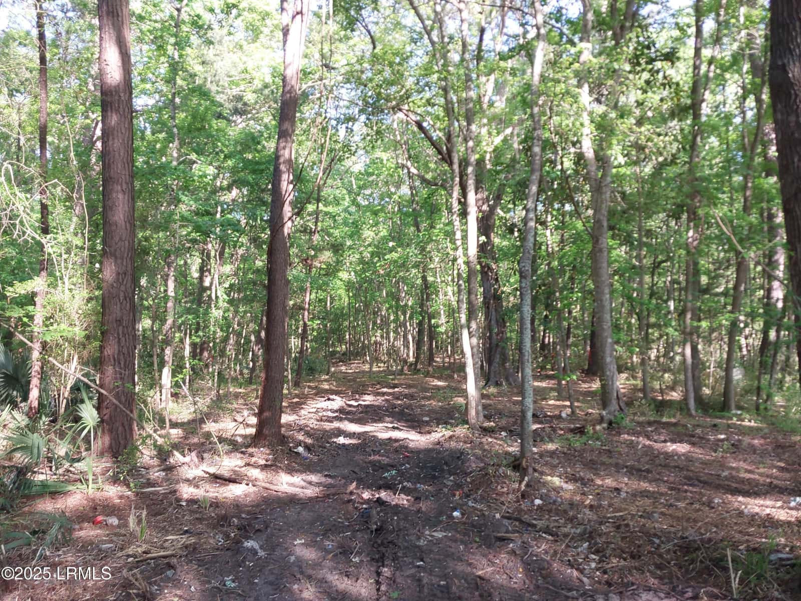 Tbd Charleston Highway, Sheldon, SC 29941 — photo 11 of 12