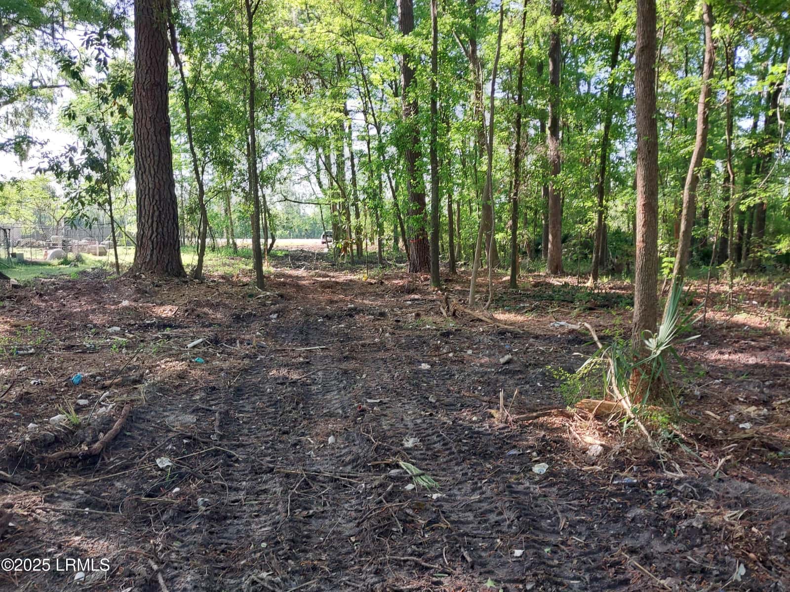 Tbd Charleston Highway, Sheldon, SC 29941 — photo 12 of 12