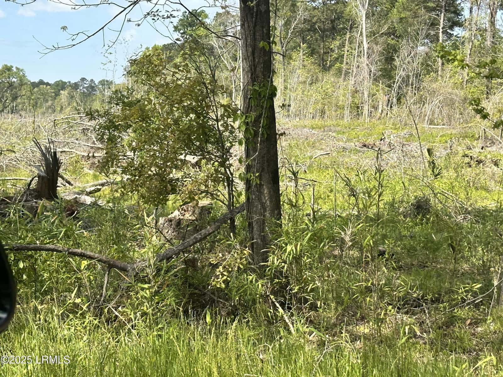 00 Lowcountry Drive, Ridgeland, SC 29936 — photo 2 of 2