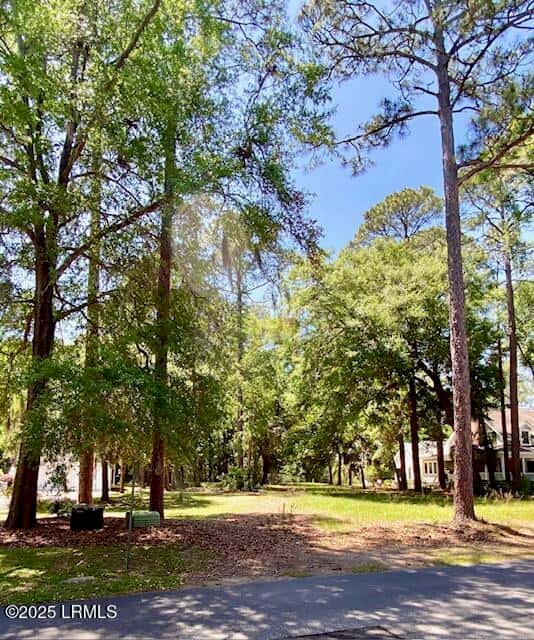 205 Distant Island Drive, Beaufort, SC 29907 — photo 4 of 22