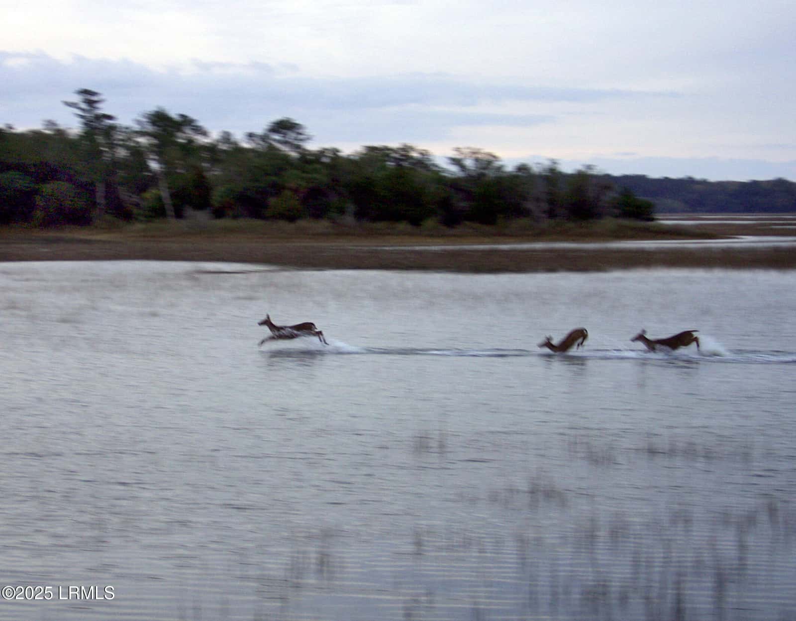 185 Distant Island Drive, Beaufort, SC 29907 — photo 22 of 25