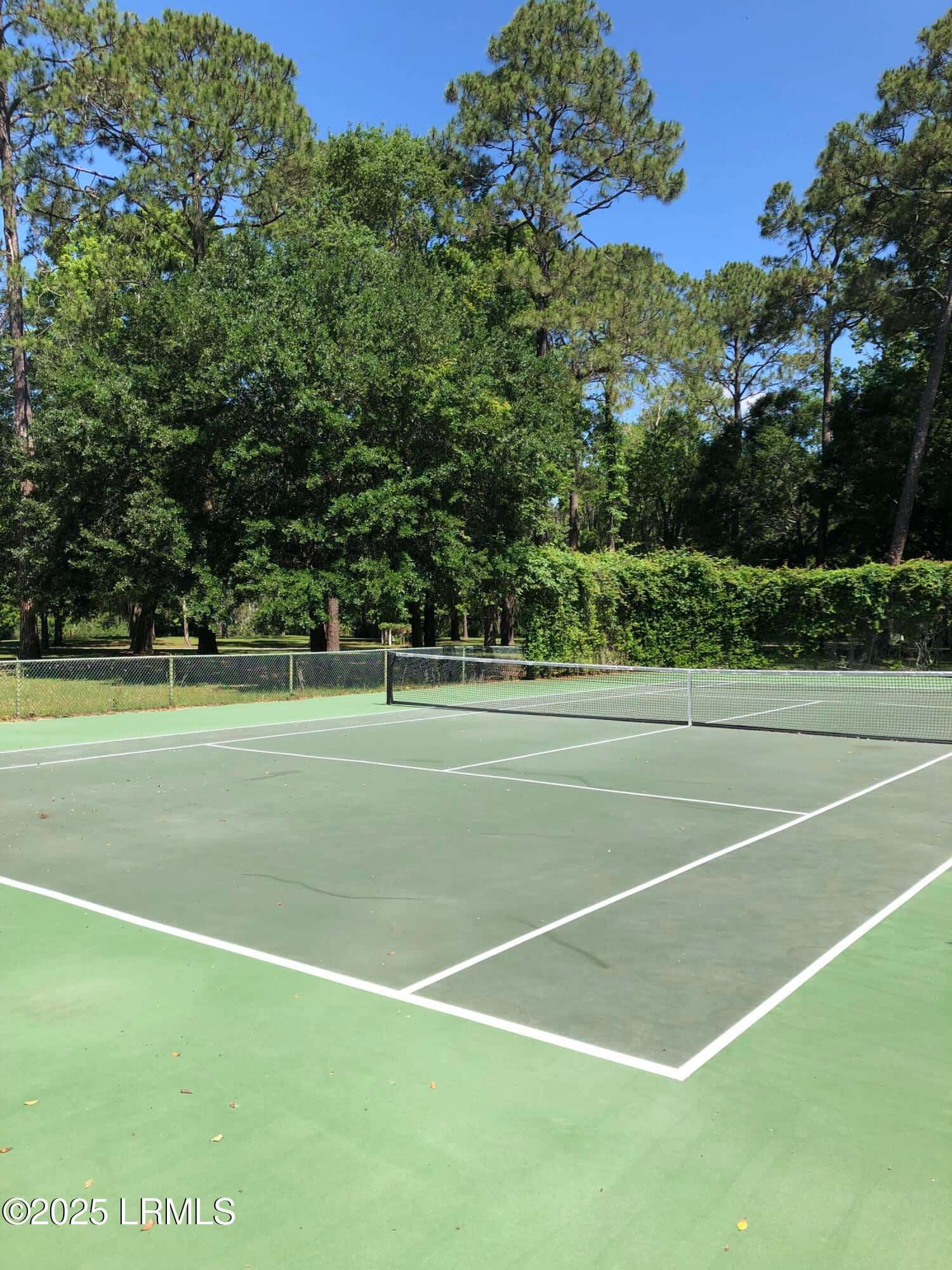 325 Distant Island Drive, Beaufort, SC 29907 — photo 9 of 10