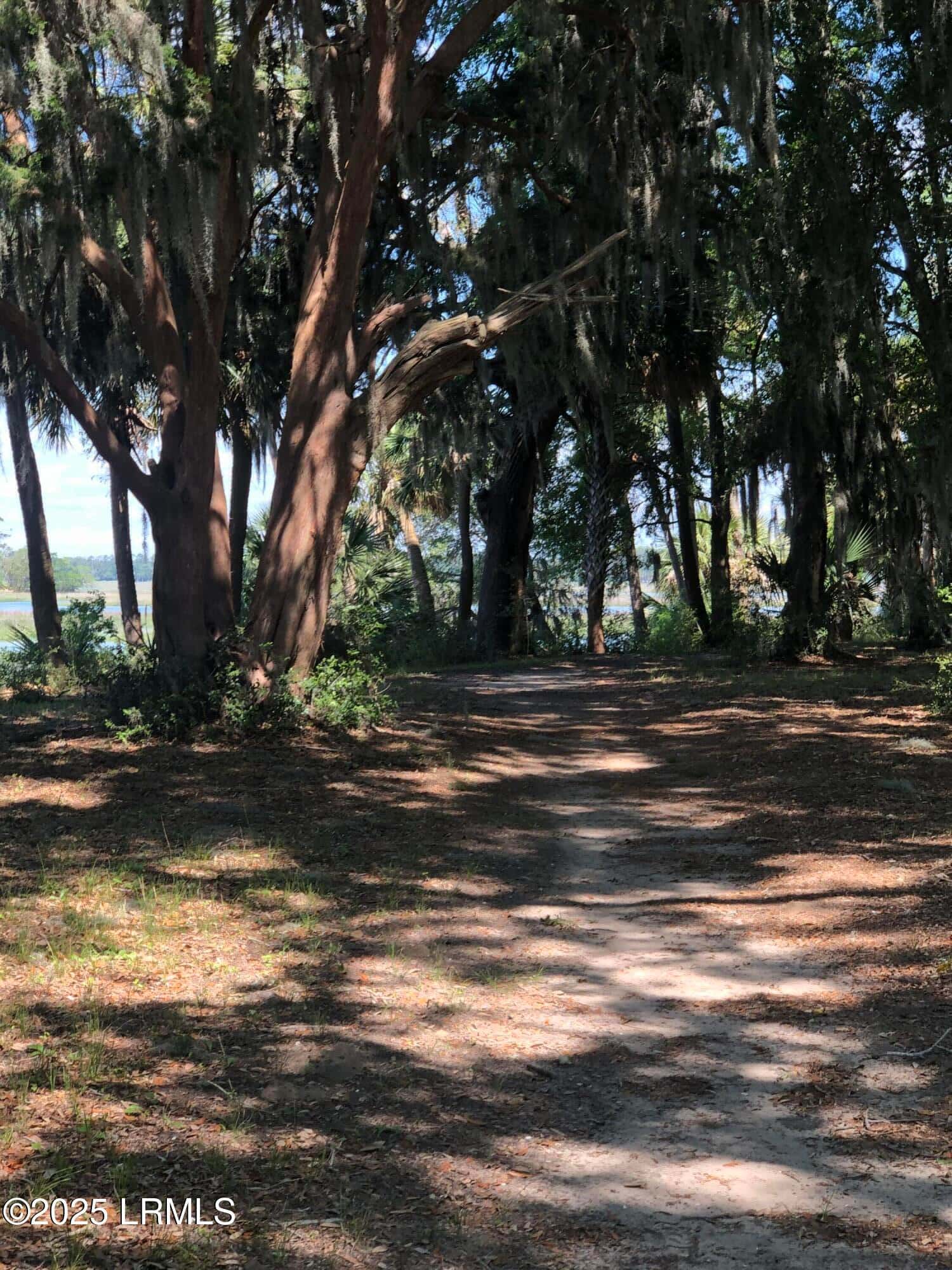 325 Distant Island Drive, Beaufort, SC 29907 — photo 10 of 10
